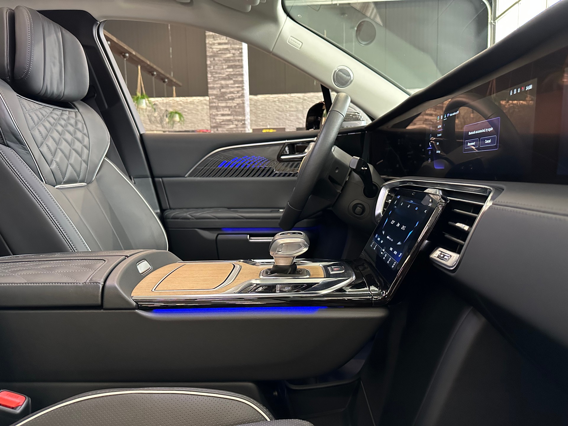 HONGQI E-HS9 Exclusive 99 kWh-image-25
