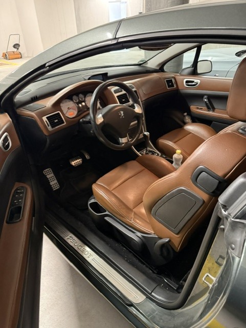 PEUGEOT 2.0 16V 143 Platinum Edition-image-4