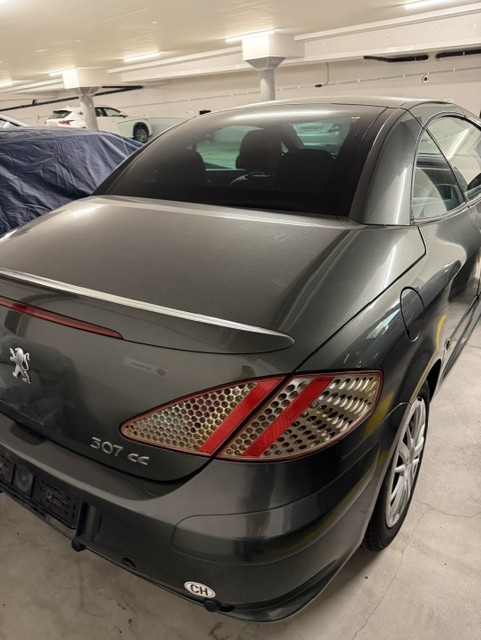 PEUGEOT 2.0 16V 143 Platinum Edition-image-1