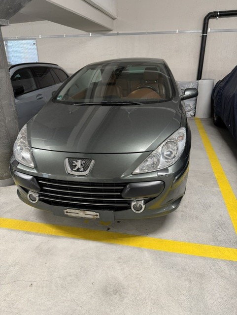 PEUGEOT 2.0 16V 143 Platinum Edition