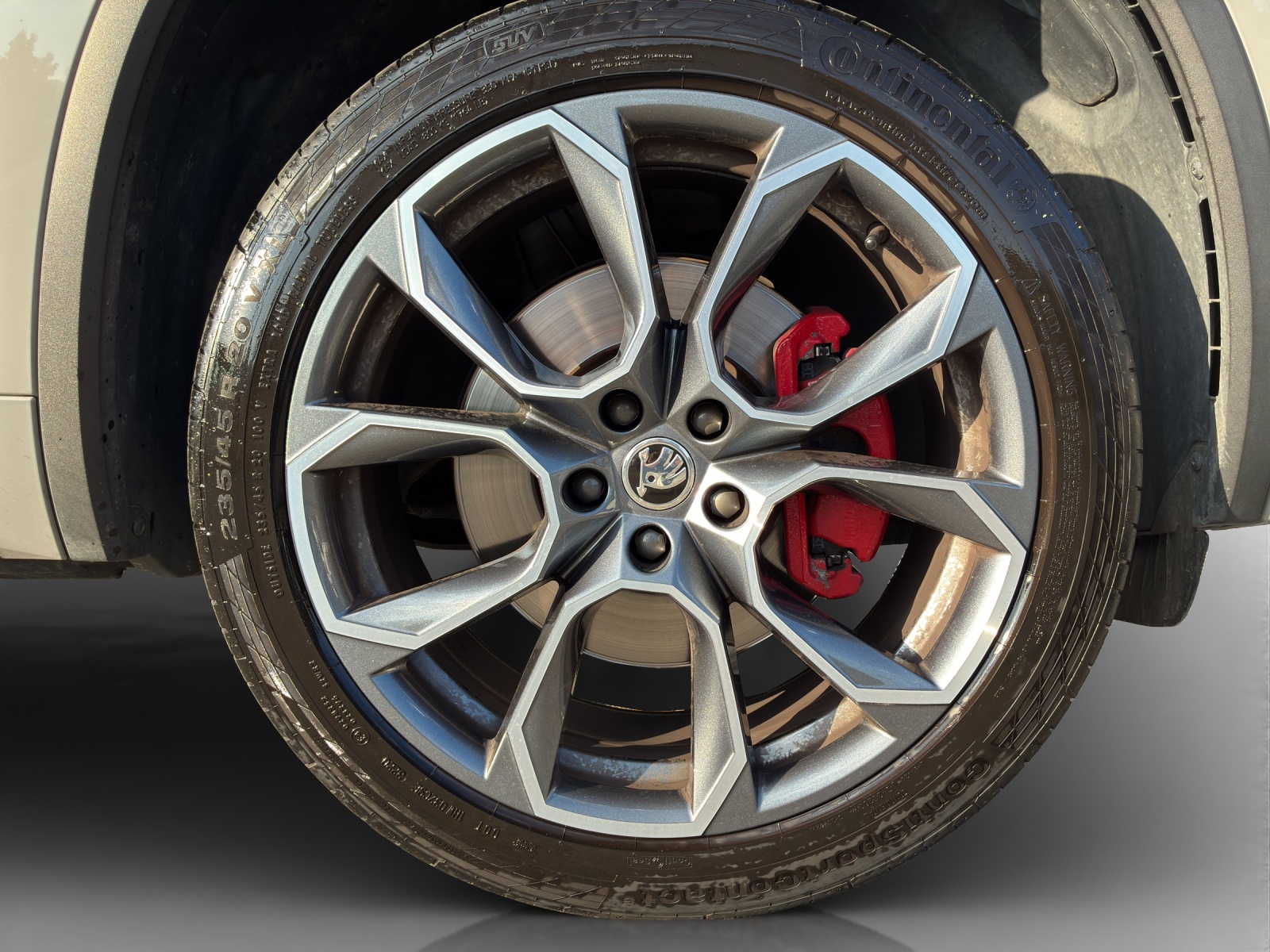 SKODA Kodiaq 2.0 Bi-TDI SCR RS 4x4 DSG-image-15