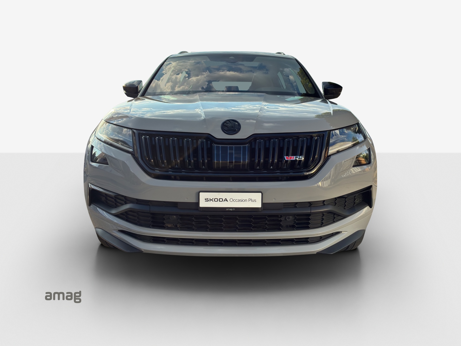 SKODA Kodiaq 2.0 Bi-TDI SCR RS 4x4 DSG-image-6