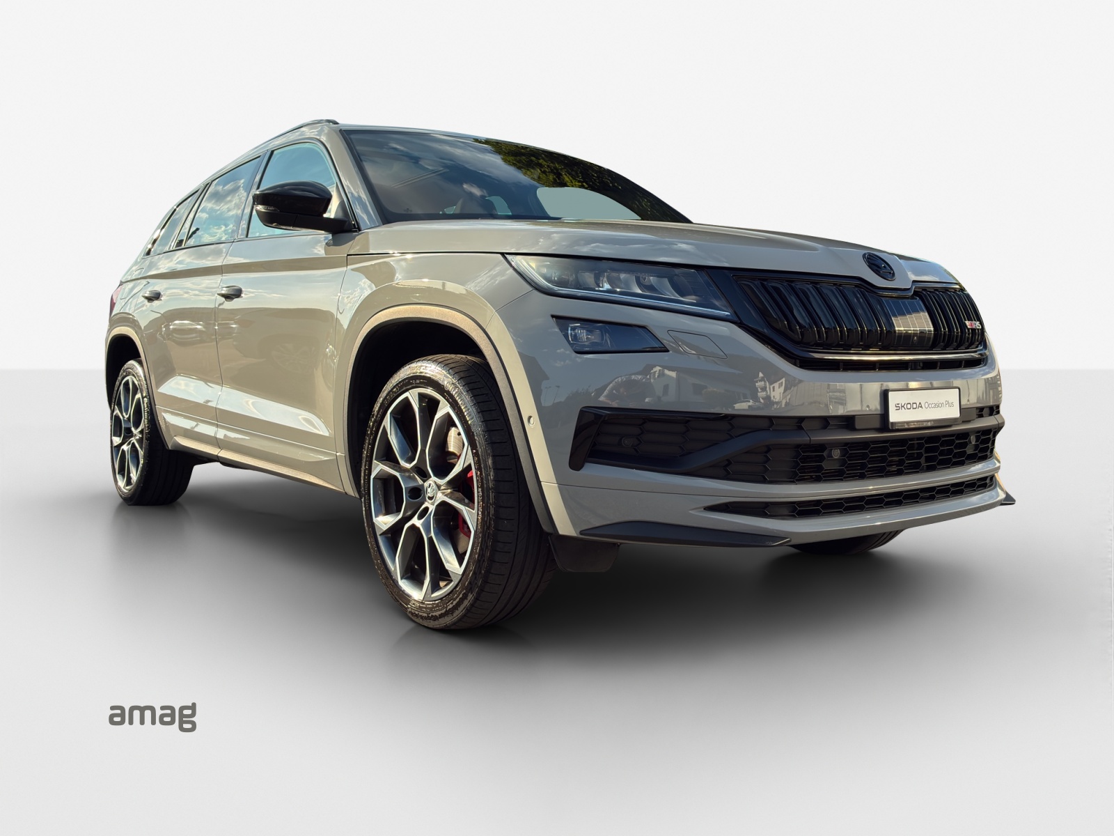 SKODA Kodiaq 2.0 Bi-TDI SCR RS 4x4 DSG-image-5