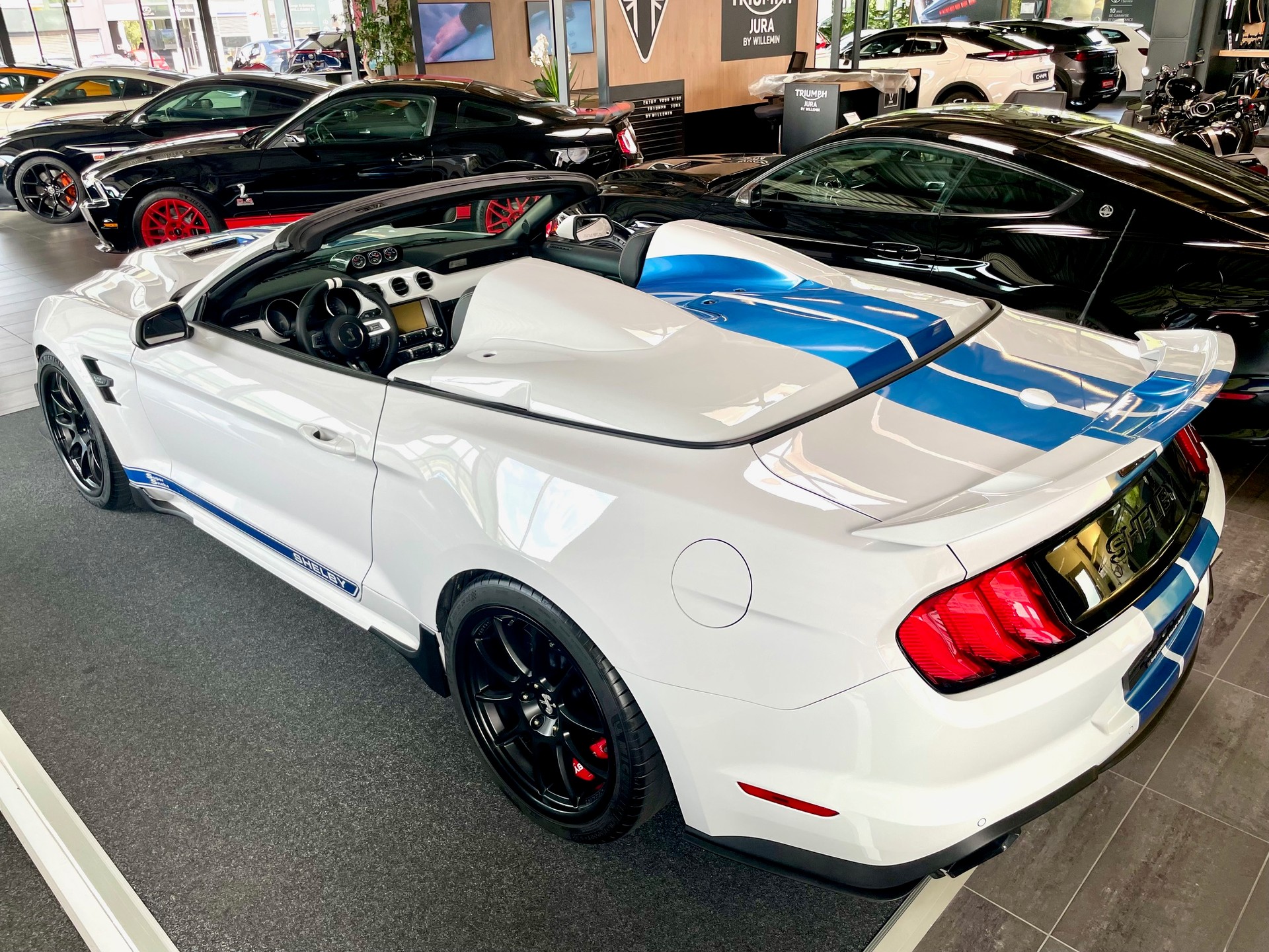 FORD Shelby Supersnake Speedster-image-2