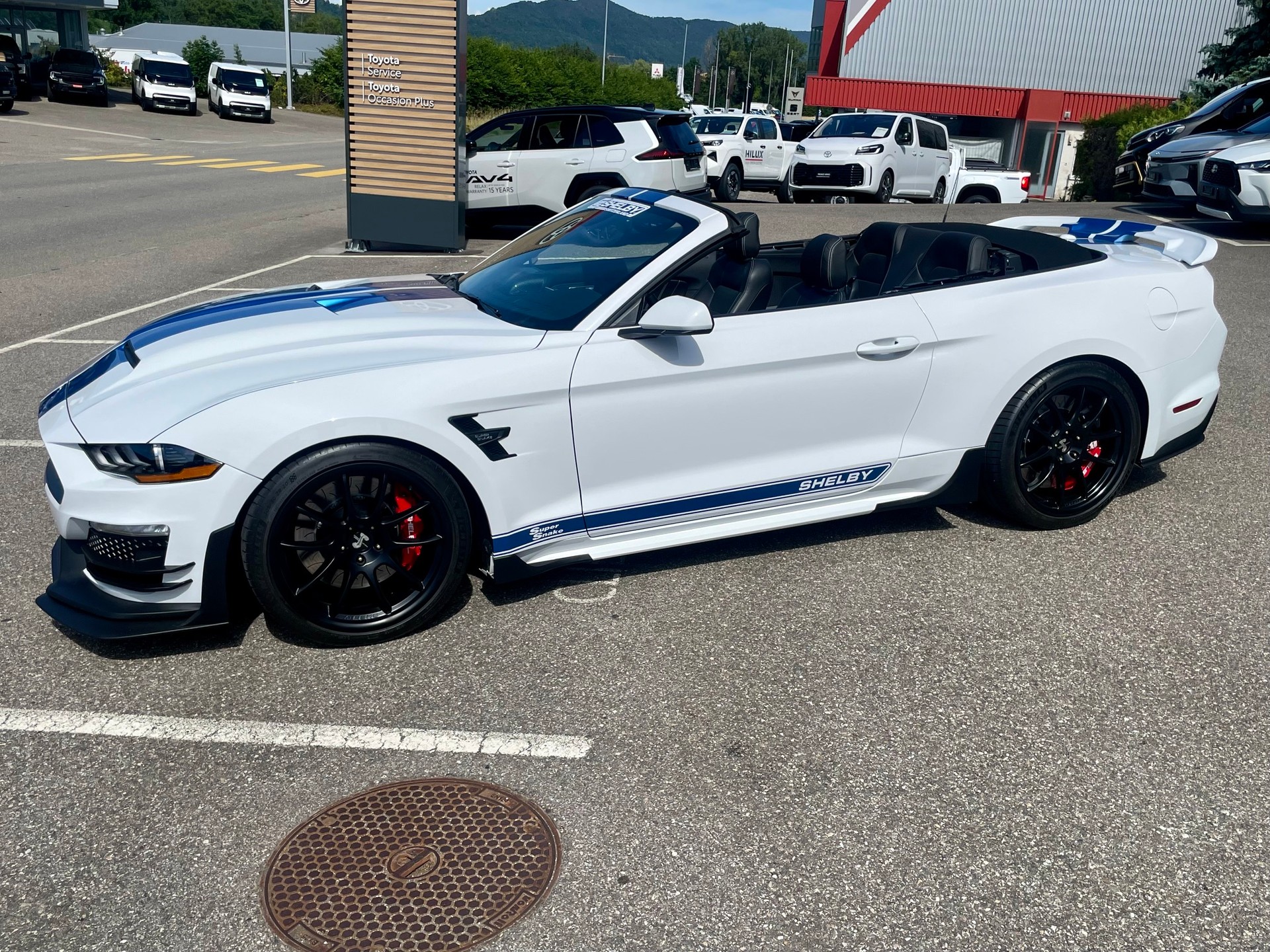 FORD Shelby Supersnake Speedster