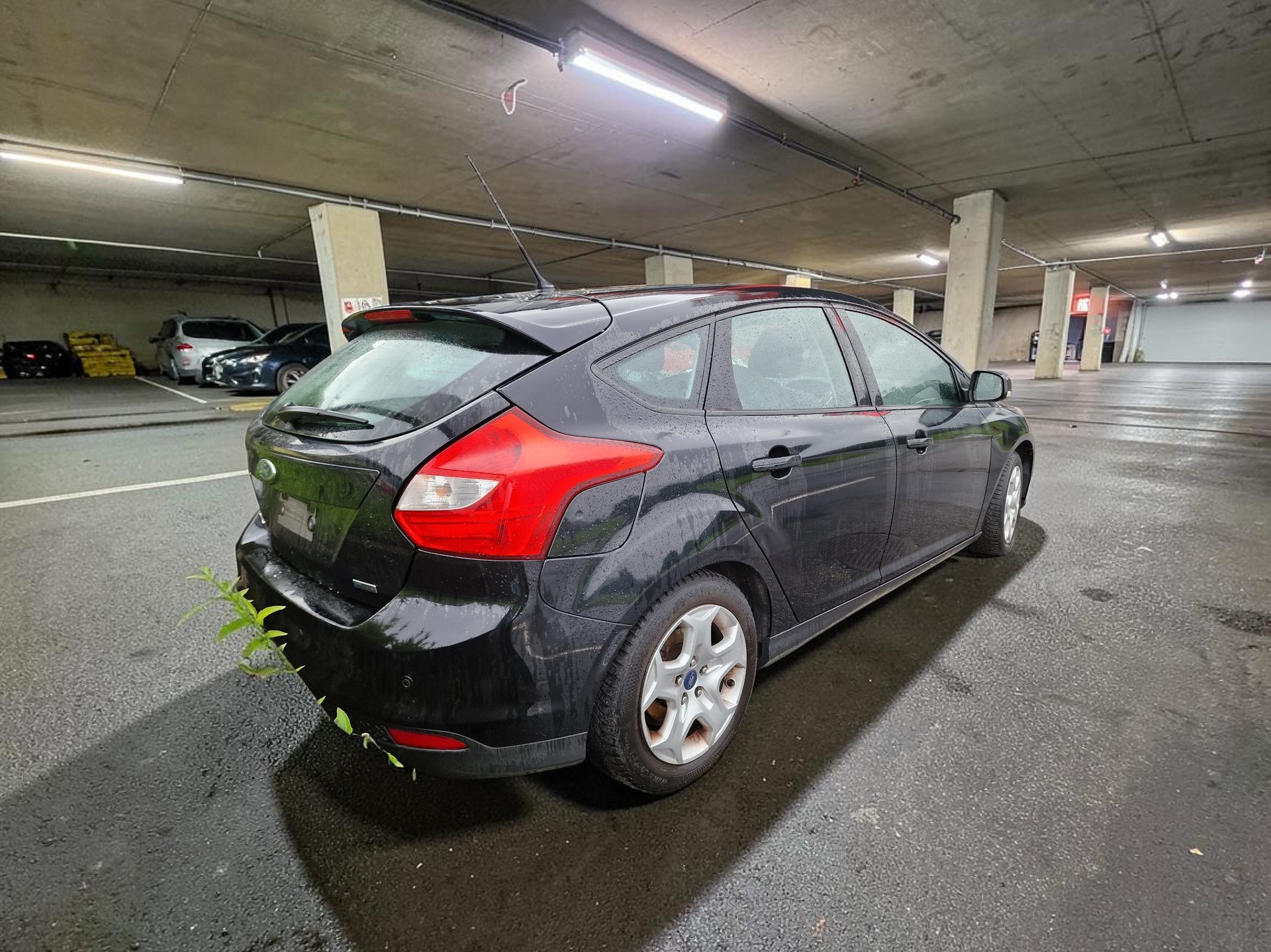FORD Focus 1.0 SCTi Titanium Motorschaden 8x Alu-showroom-element-1