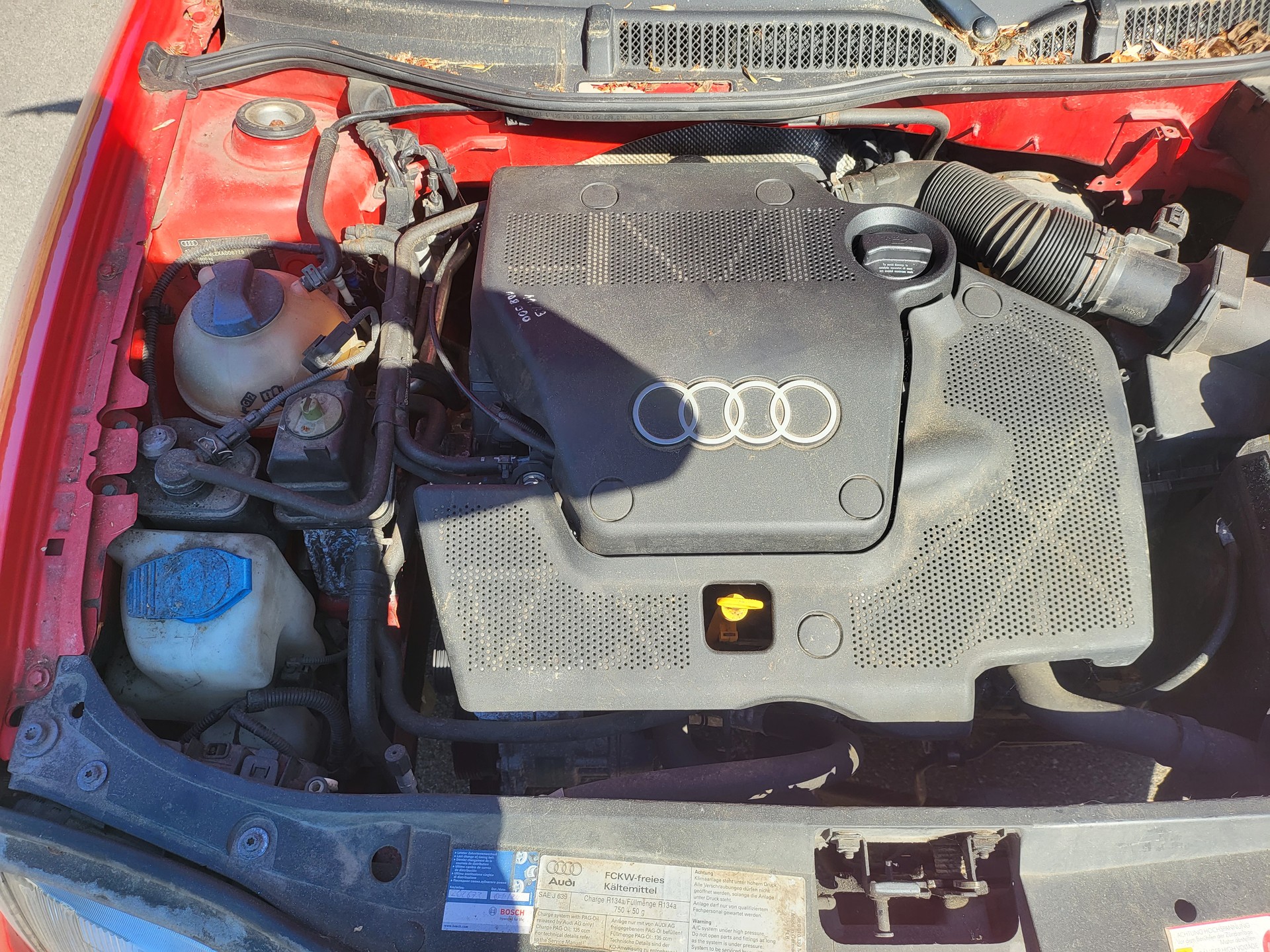 AUDI A3 1.6 Ambiente-image-8
