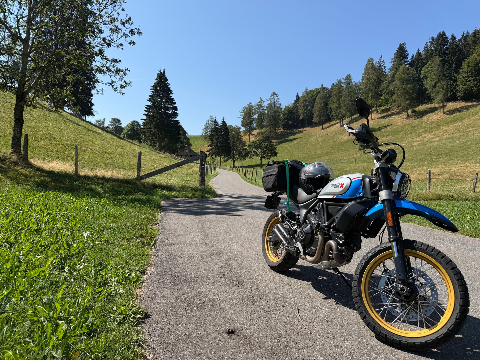 DUCATI Scrambler 803 Desert Sled-image-1