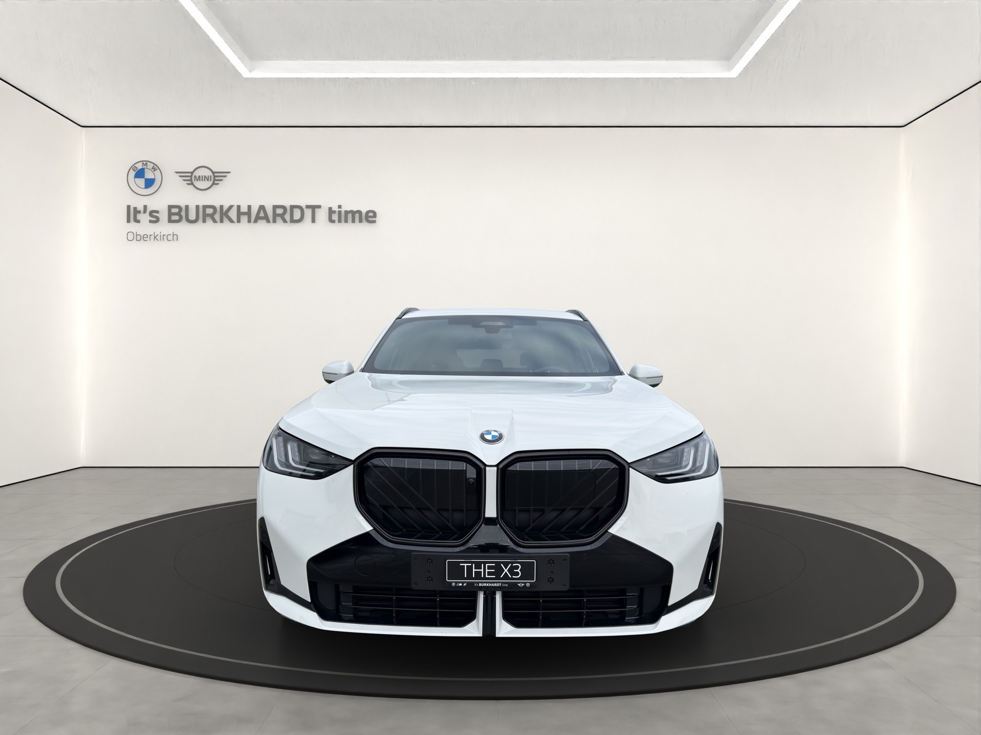 BMW X3 xDr 48V 20d M Sp. Pro-image-8