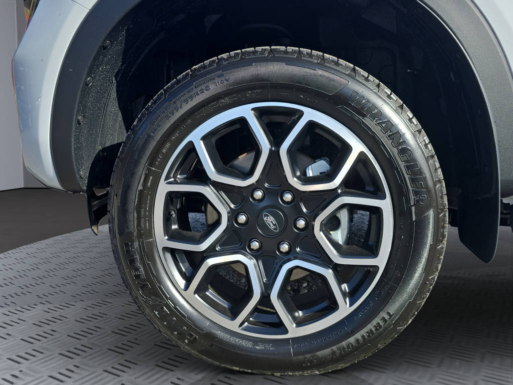 FORD Ranger dcab.pick-up 3.0 EcoBlue 4x4 Wildtrak-image-13