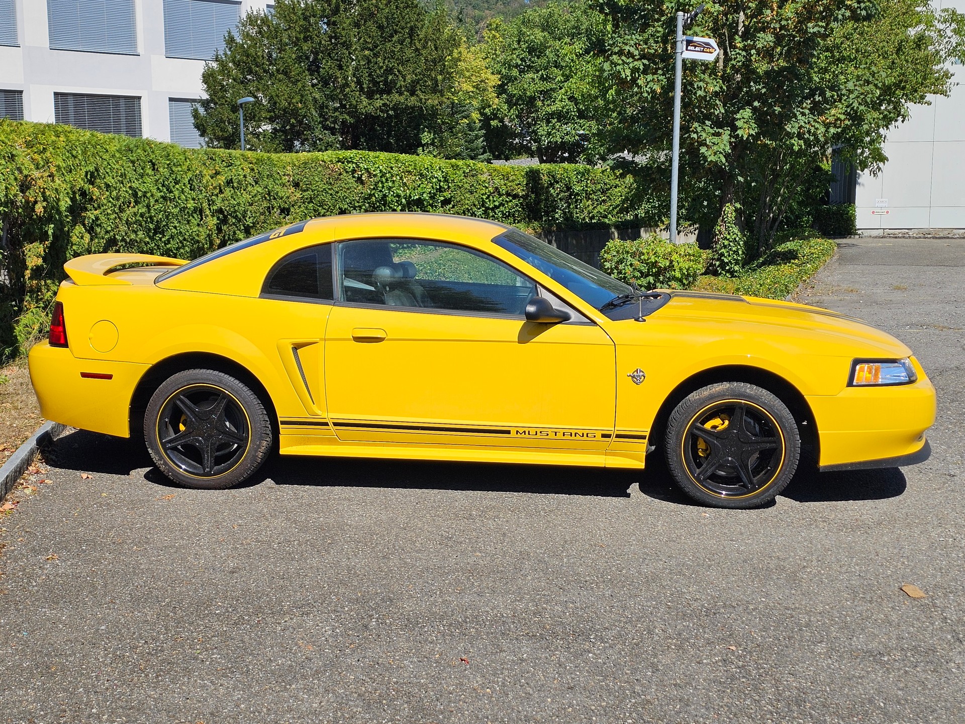 FORD GT 75th Anniversary Edition-image-1