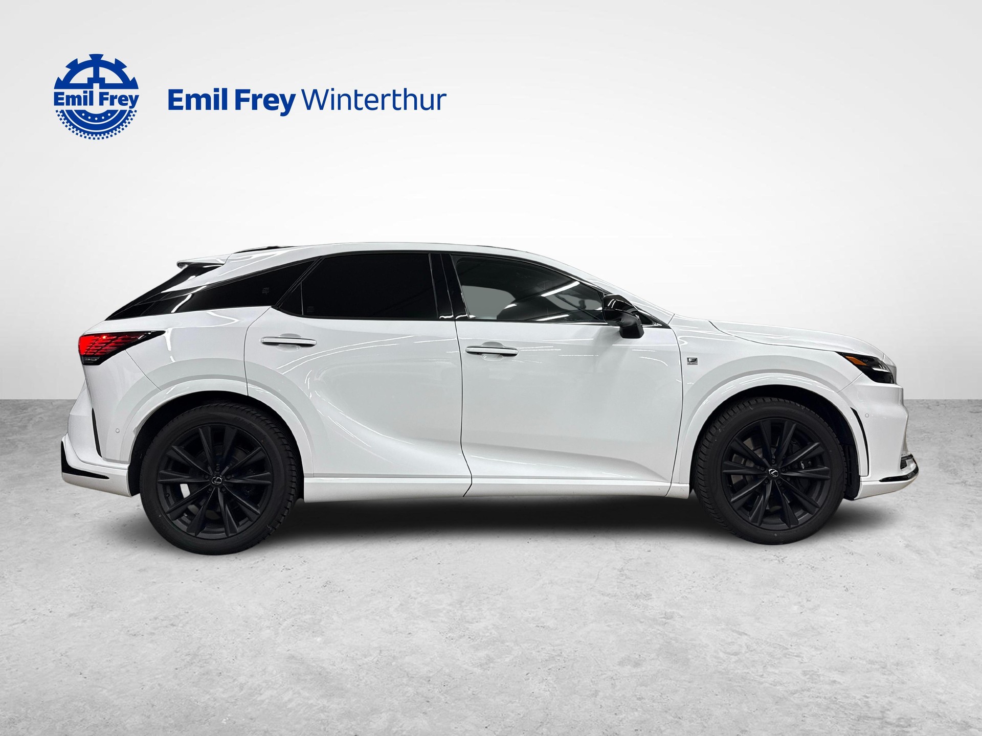 LEXUS RX 500h F-Sport-image-5