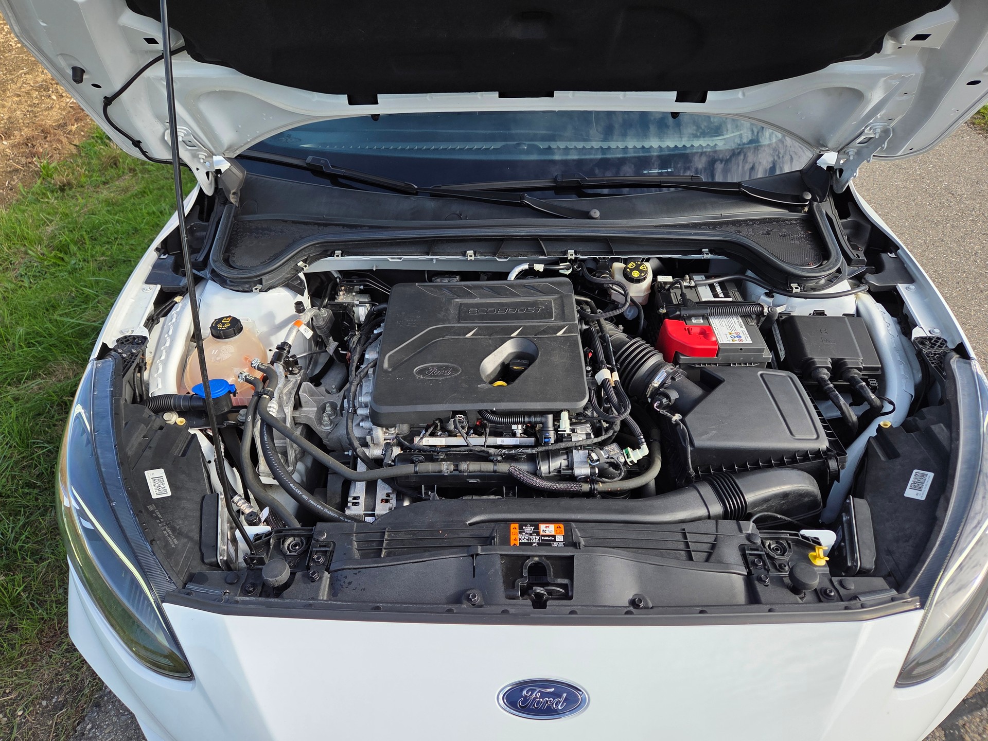 FORD Focus 1.5 SCTi Cool Connect Automatic-image-12