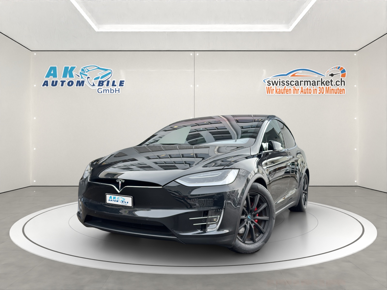 TESLA Model X 100 D Performance-image-0