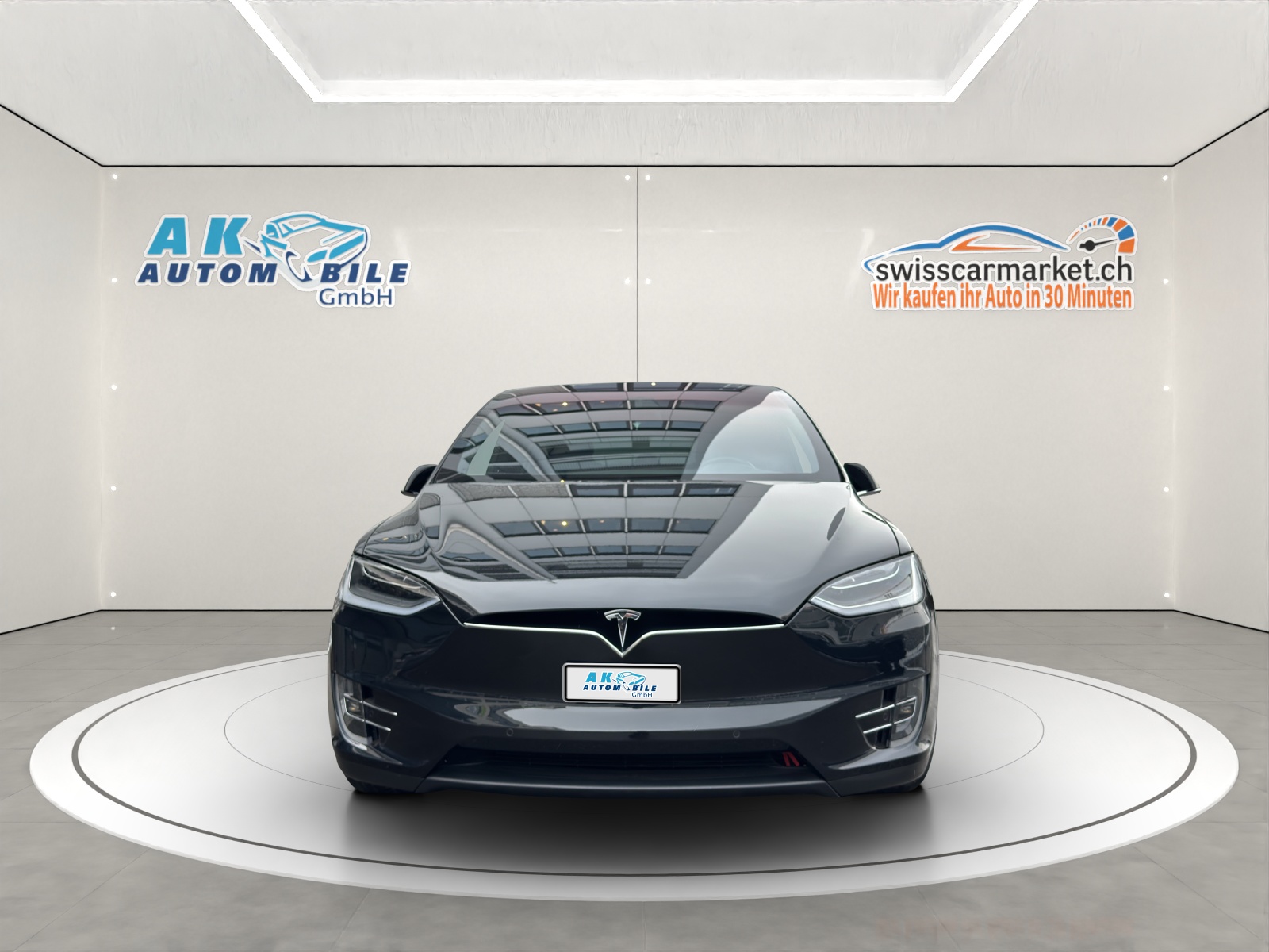 TESLA Model X 100 D Performance-image-2