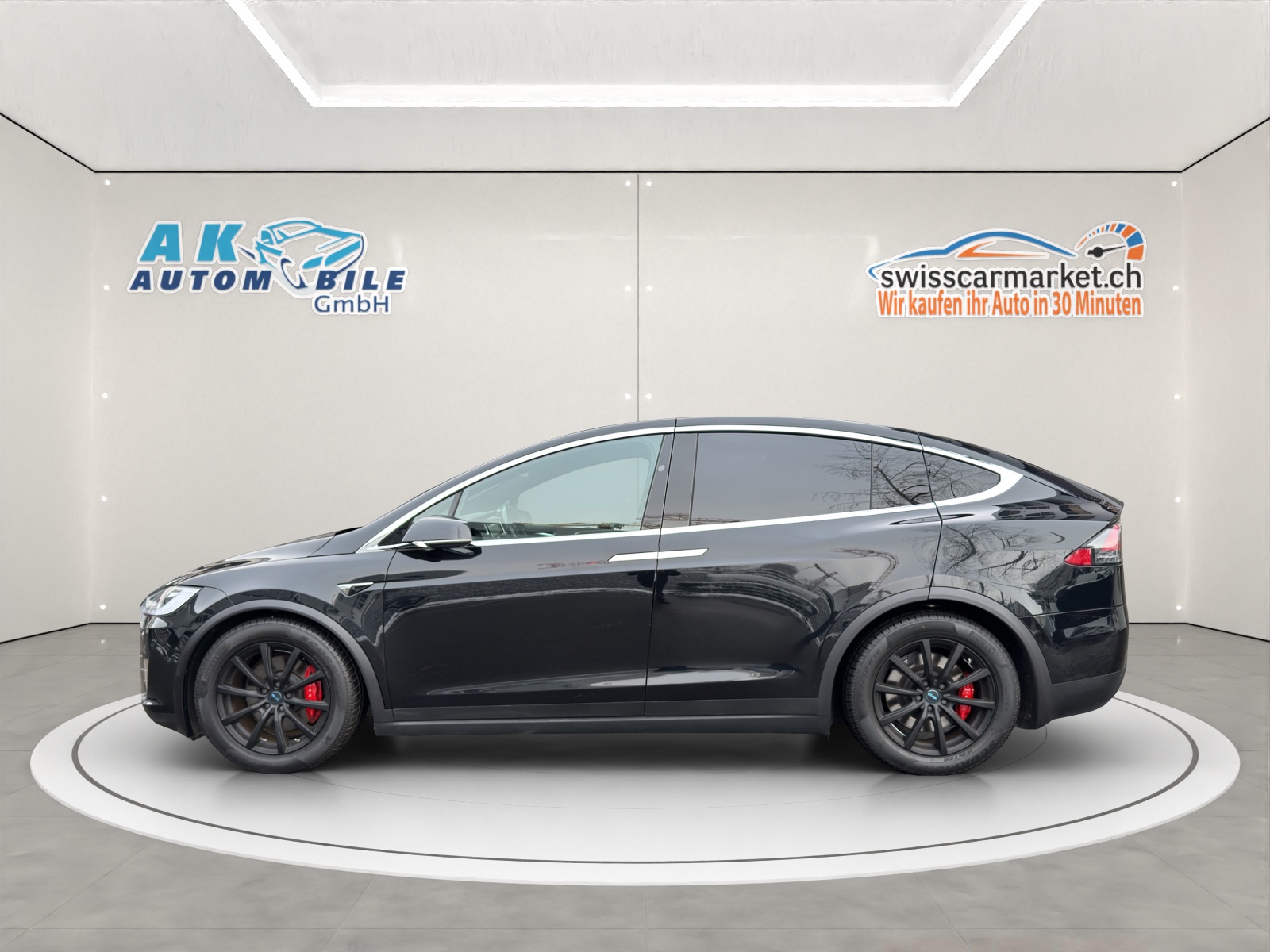 TESLA Model X 100 D Performance-image-3
