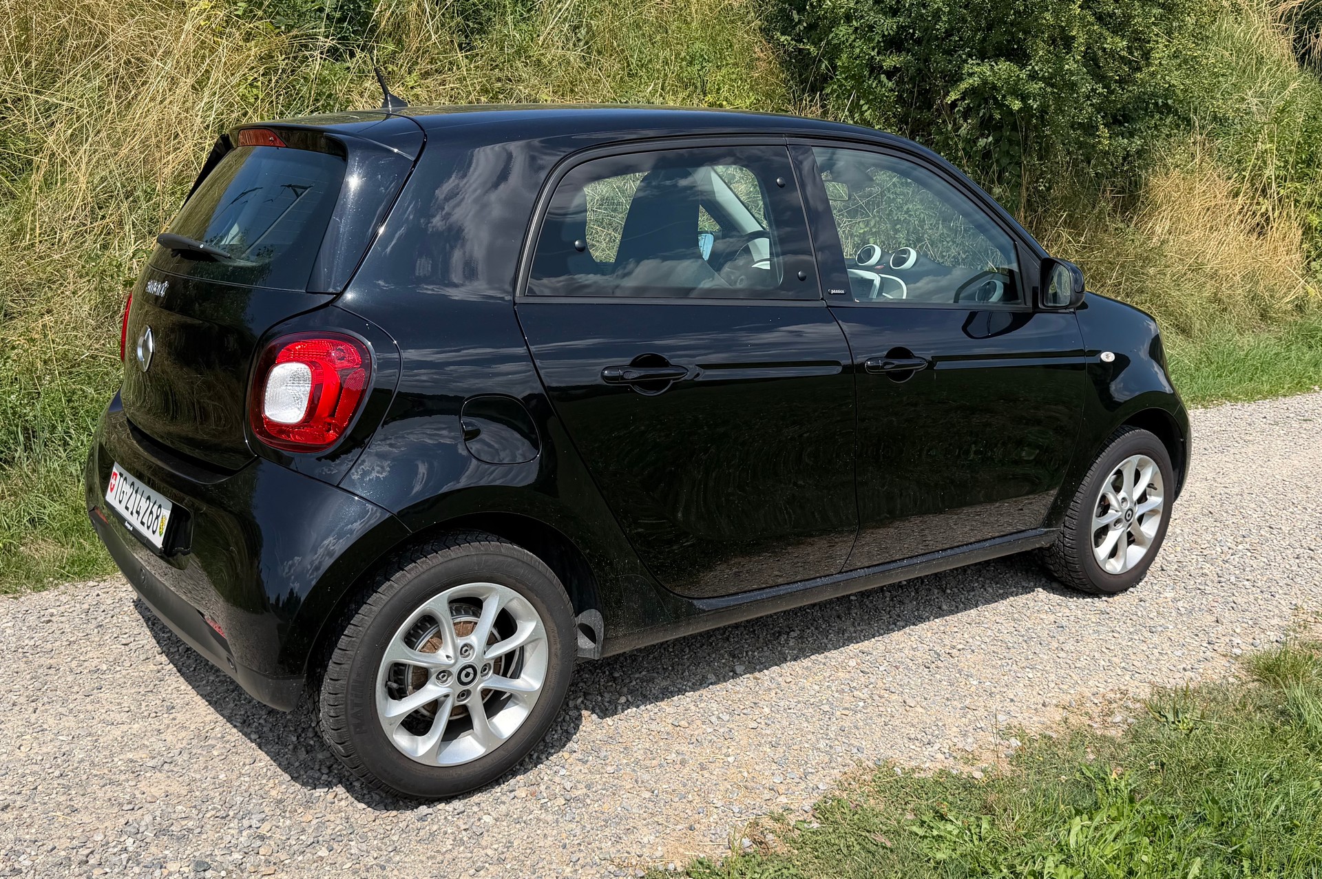 SMART 1.0 71 Passion-image-1