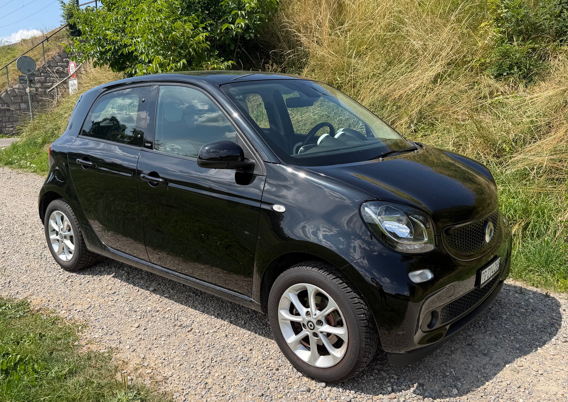 SMART 1.0 71 Passion-image-0