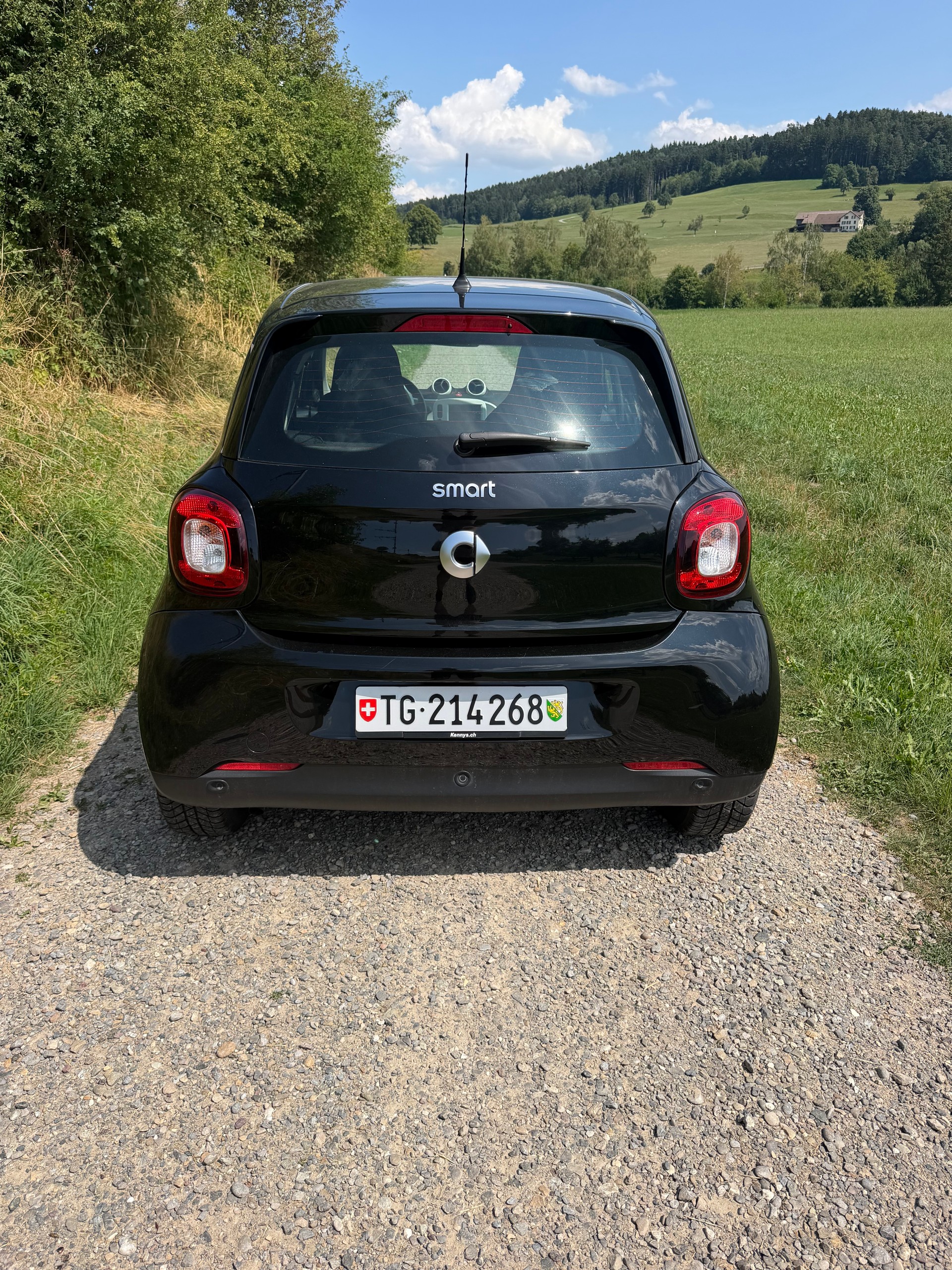 SMART 1.0 71 Passion-image-3