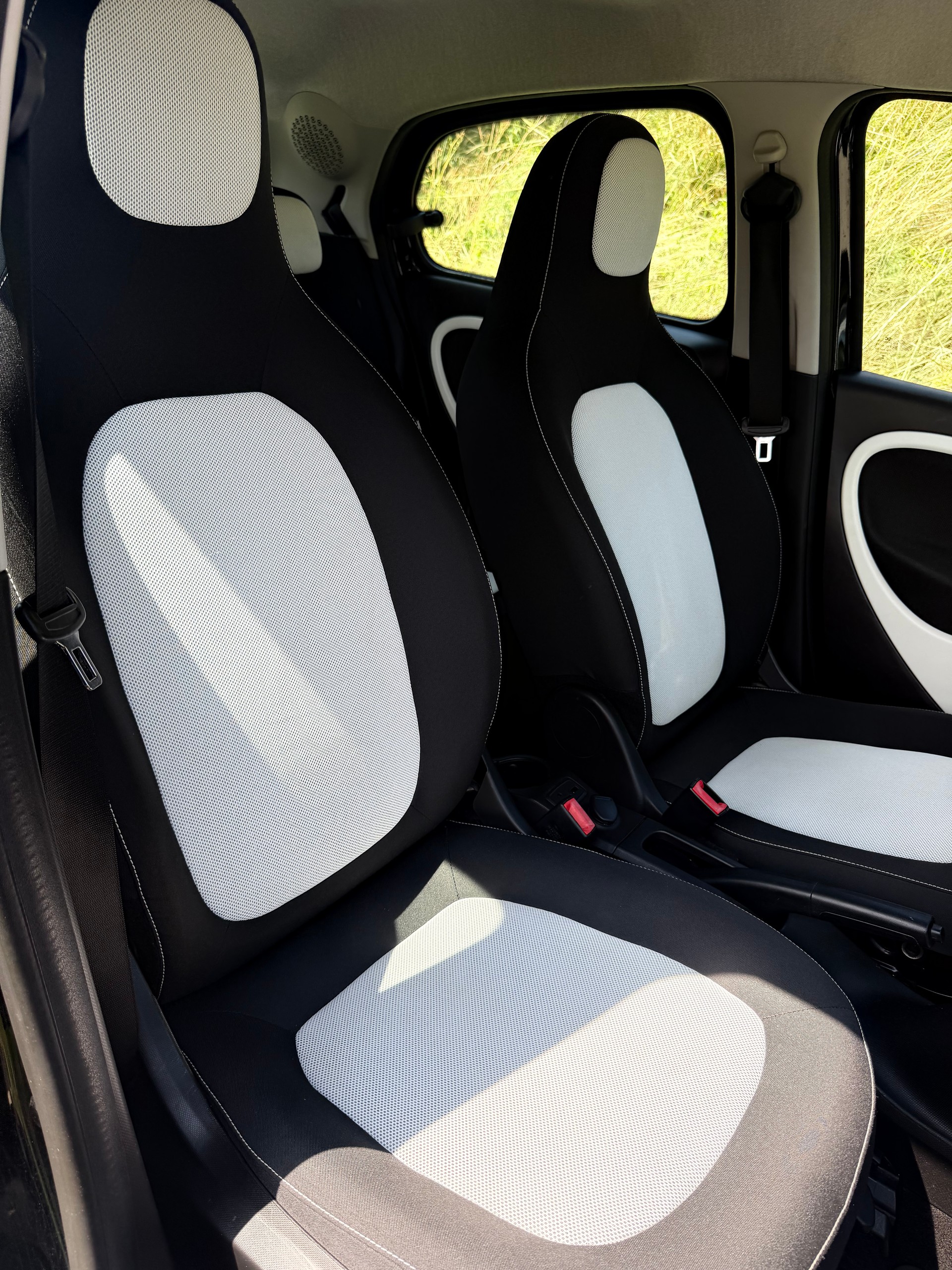 SMART 1.0 71 Passion-image-4