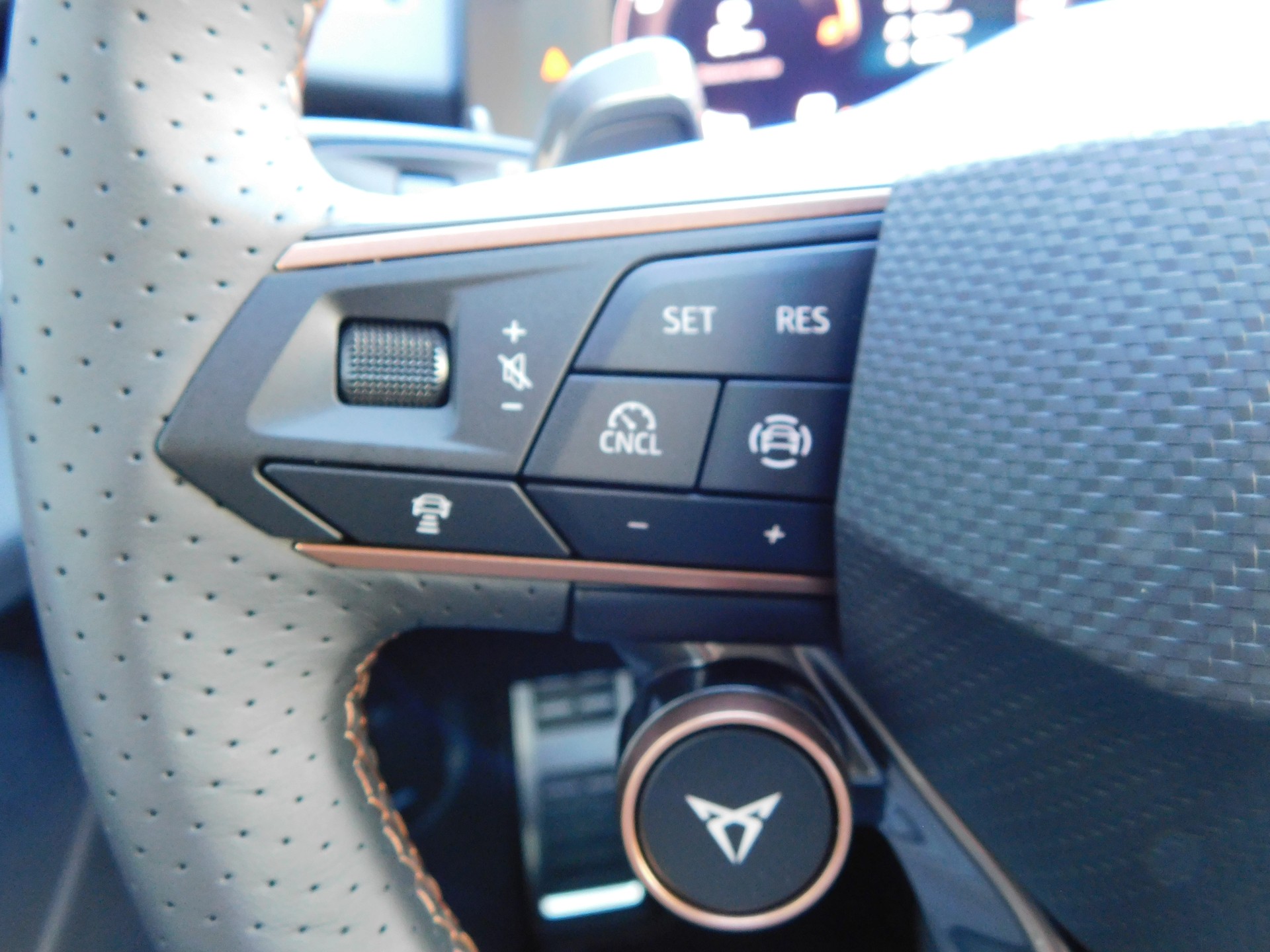 CUPRA Terramar 1.5 eTSI DSG-image-15
