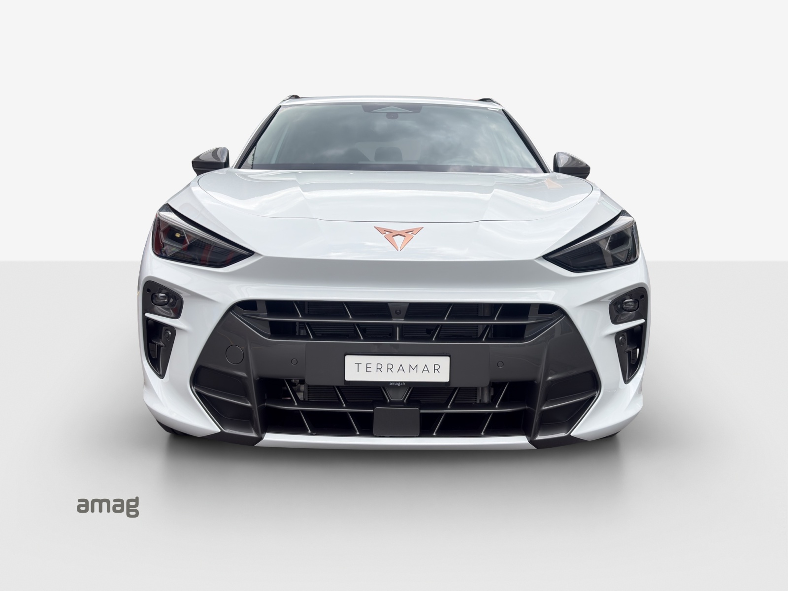 CUPRA Terramar 1.5 eHybrid DSG-image-6