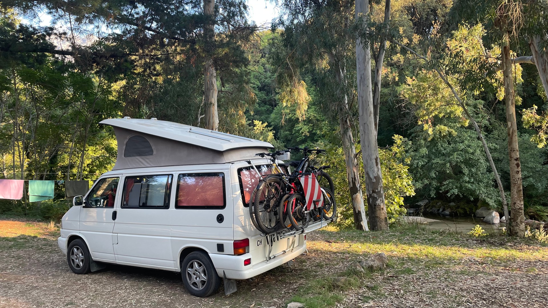 VW T4-image-1