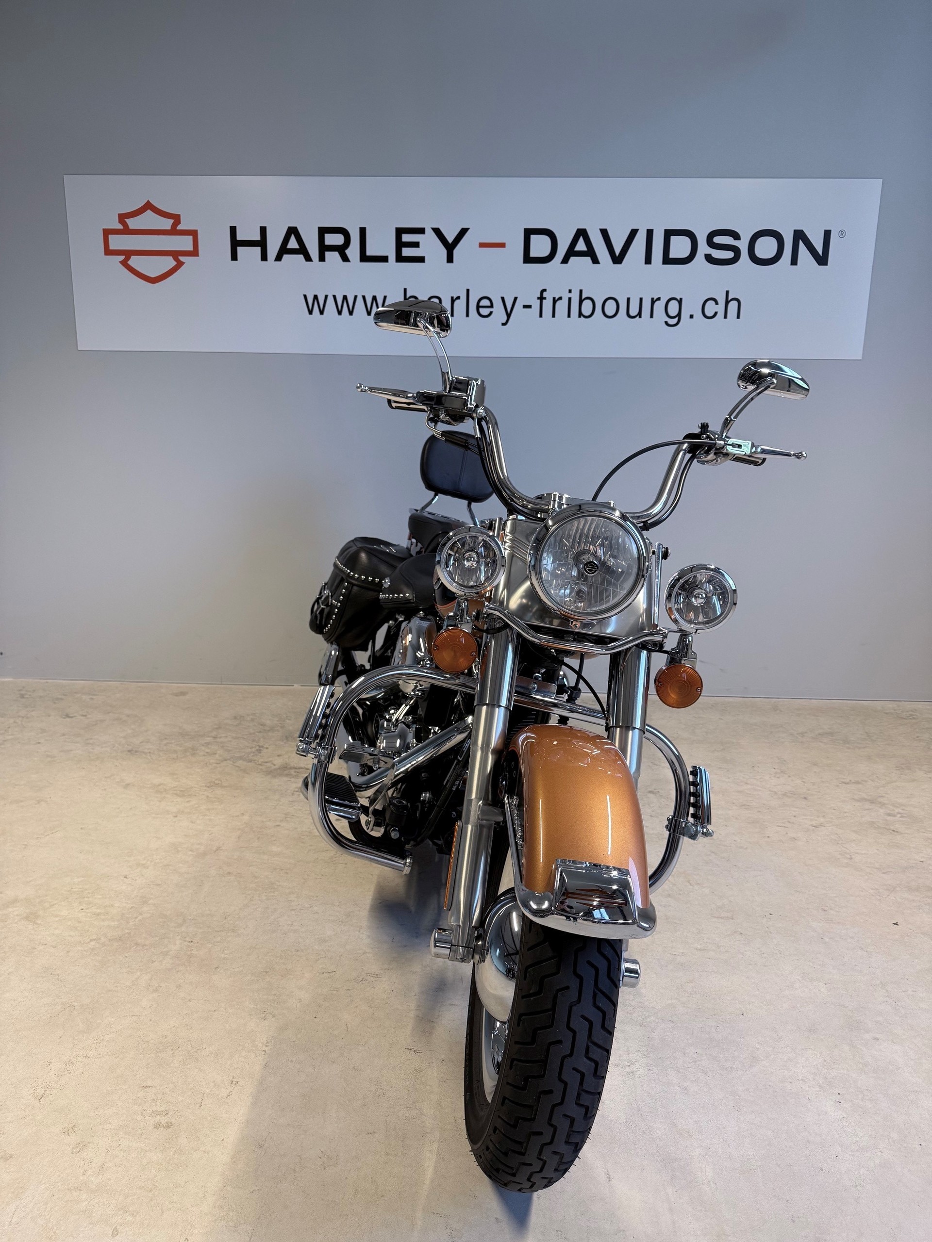 HARLEY-DAVIDSON FLSTCI Softail Classic Anniversary-image-5