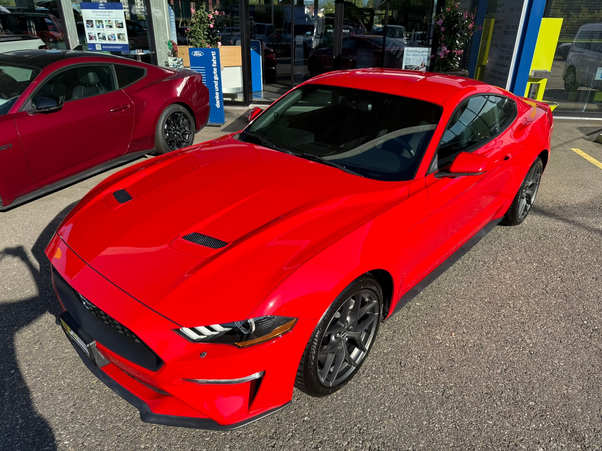 FORD Mustang Fastback 2.3 Automat - US IMPORT / sehr gepflegt-showroom-element-2