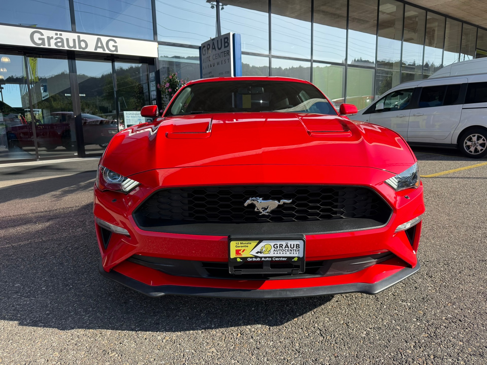 FORD Mustang Fastback 2.3 Automat - US IMPORT / sehr gepflegt-showroom-element-1