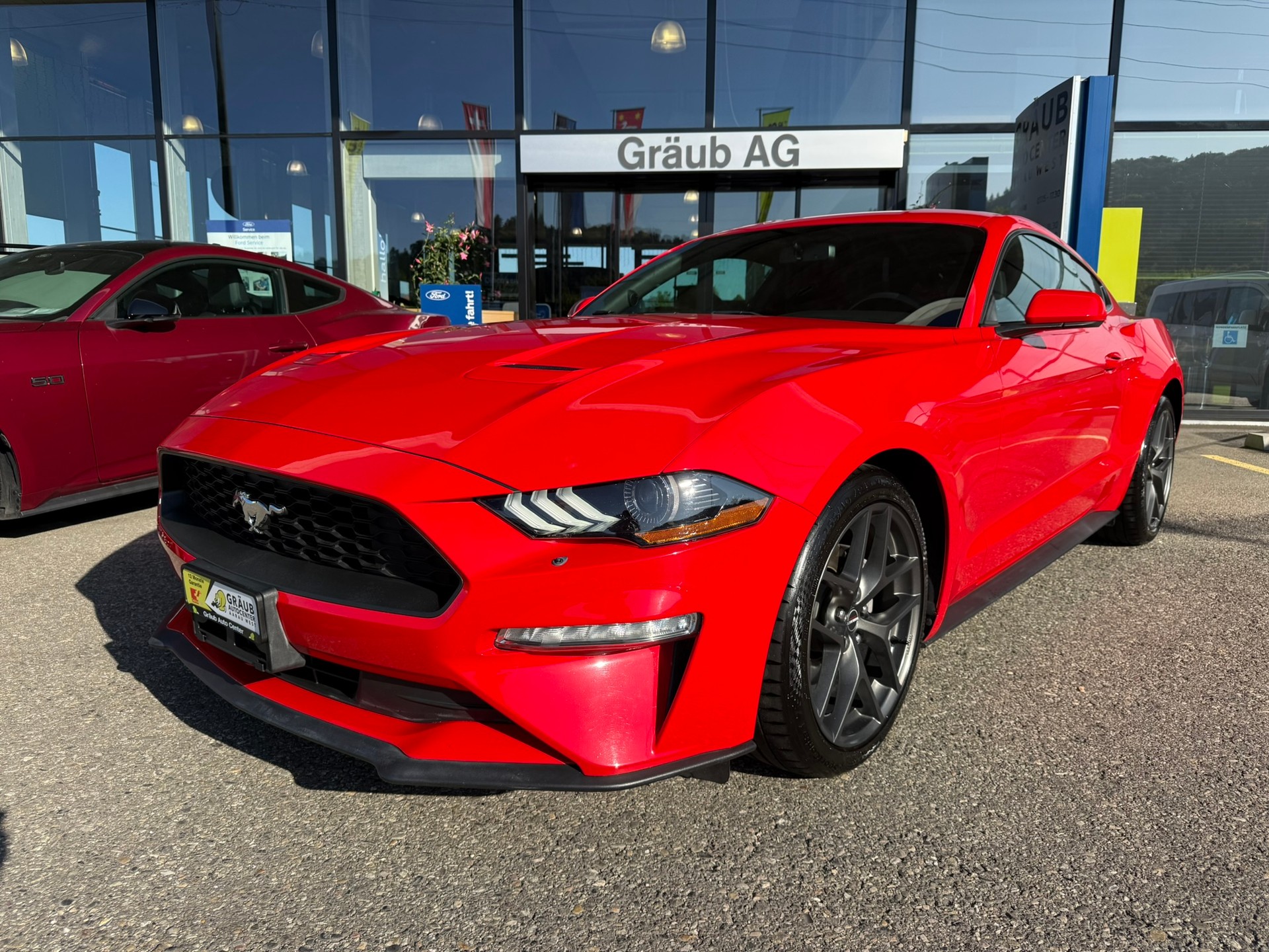 FORD Mustang Fastback 2.3 Automat - US IMPORT / sehr gepflegt