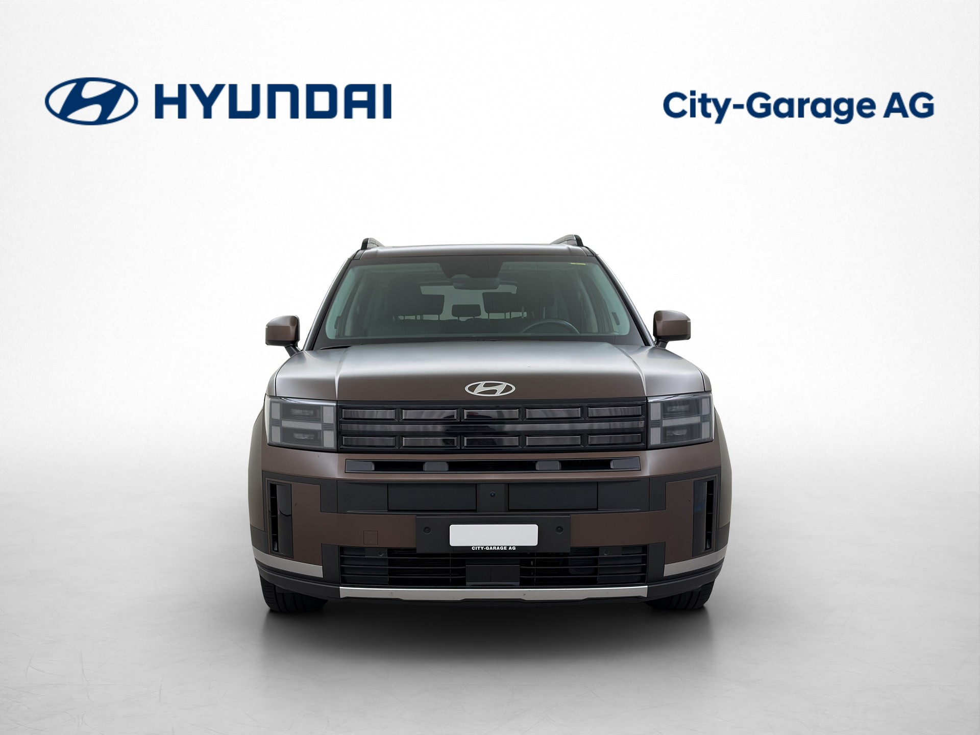 HYUNDAI Santa Fe 1.6 T-GDi HEV Vertex-image-1