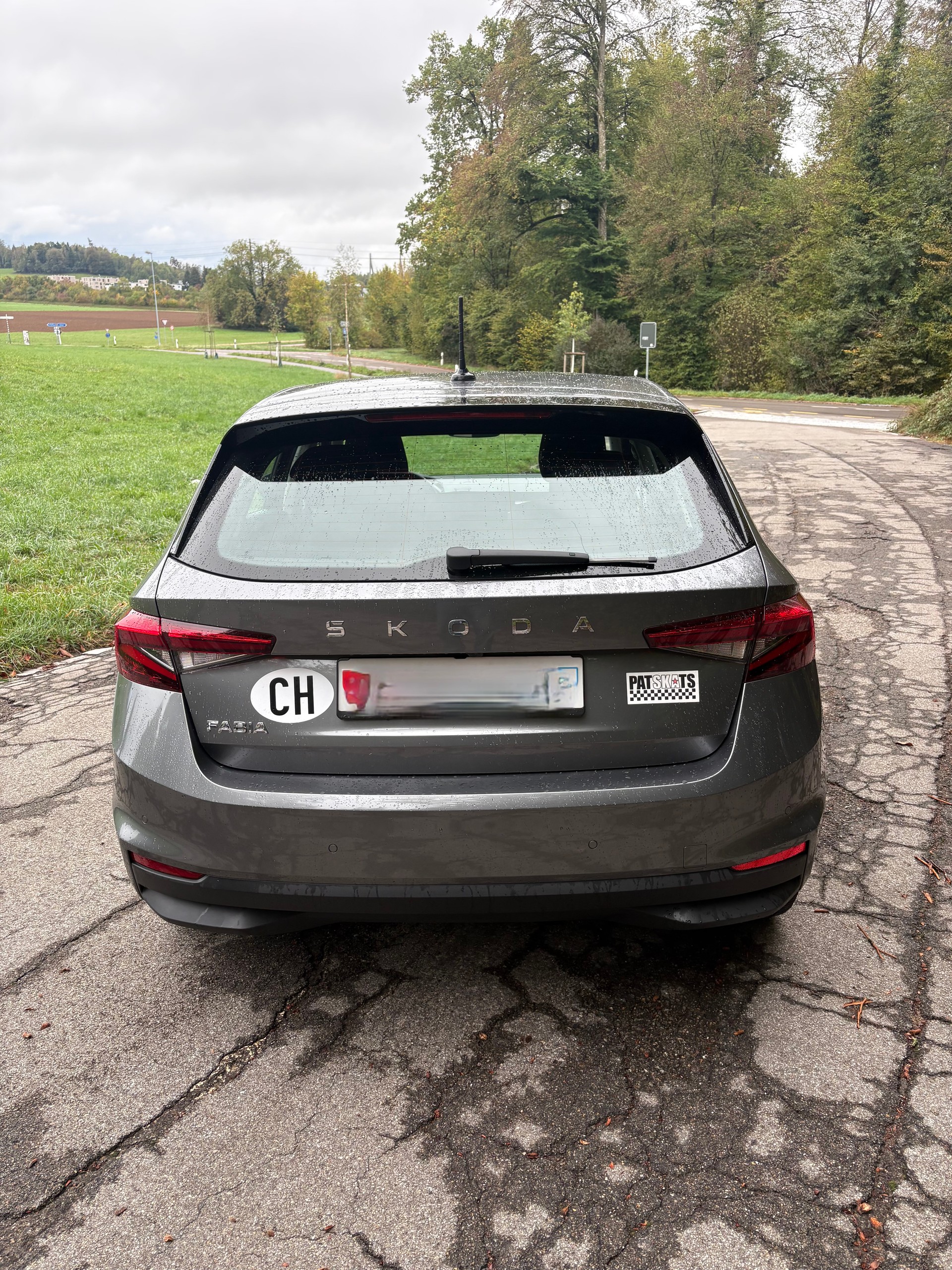 SKODA 1.0 TSI Selection DSG-image-1