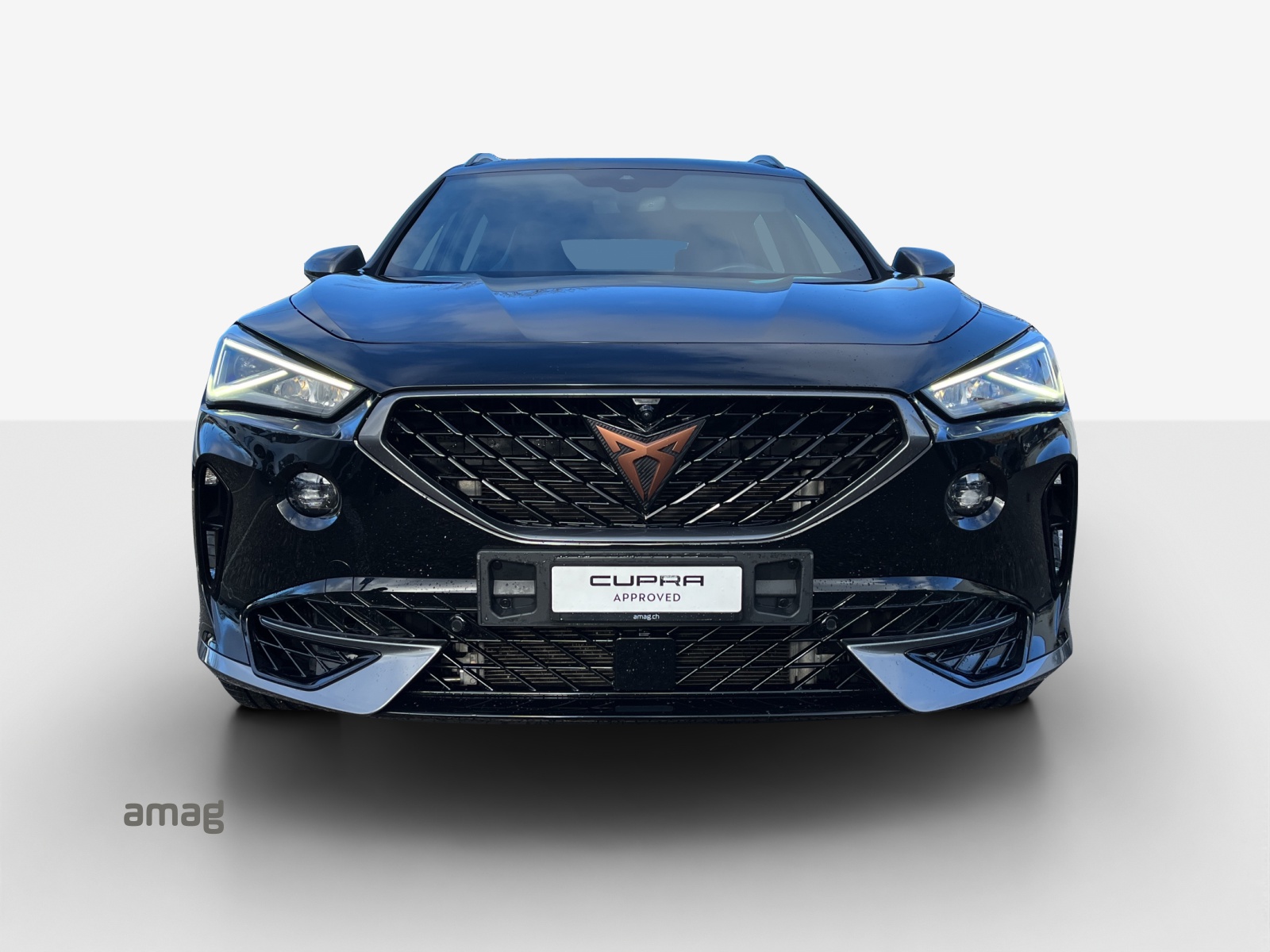 CUPRA Formentor 2.0TSI VZ 4Drive DSG-image-6