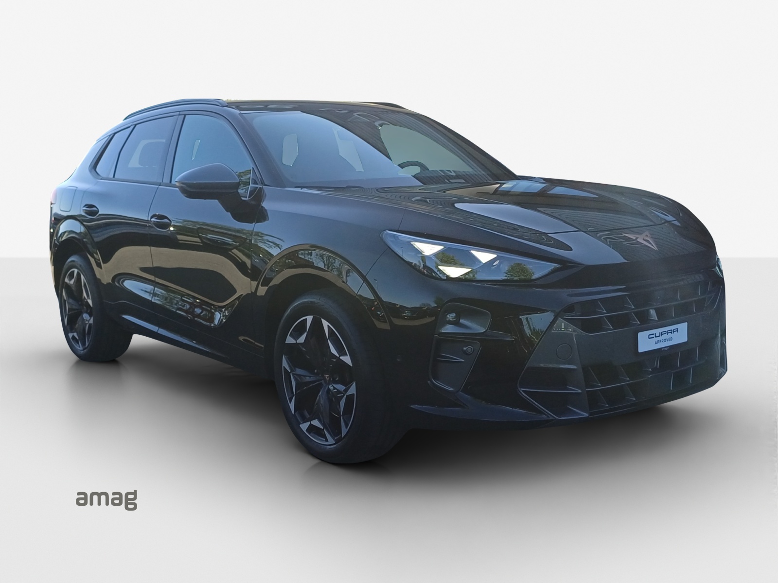 SEAT Terramar 2.0 TSI DSG 4Drive VZ-image-5