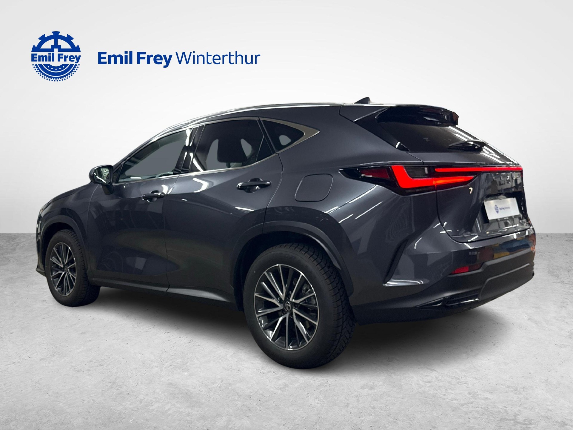 LEXUS NX 350h Comfort-showroom-element-2