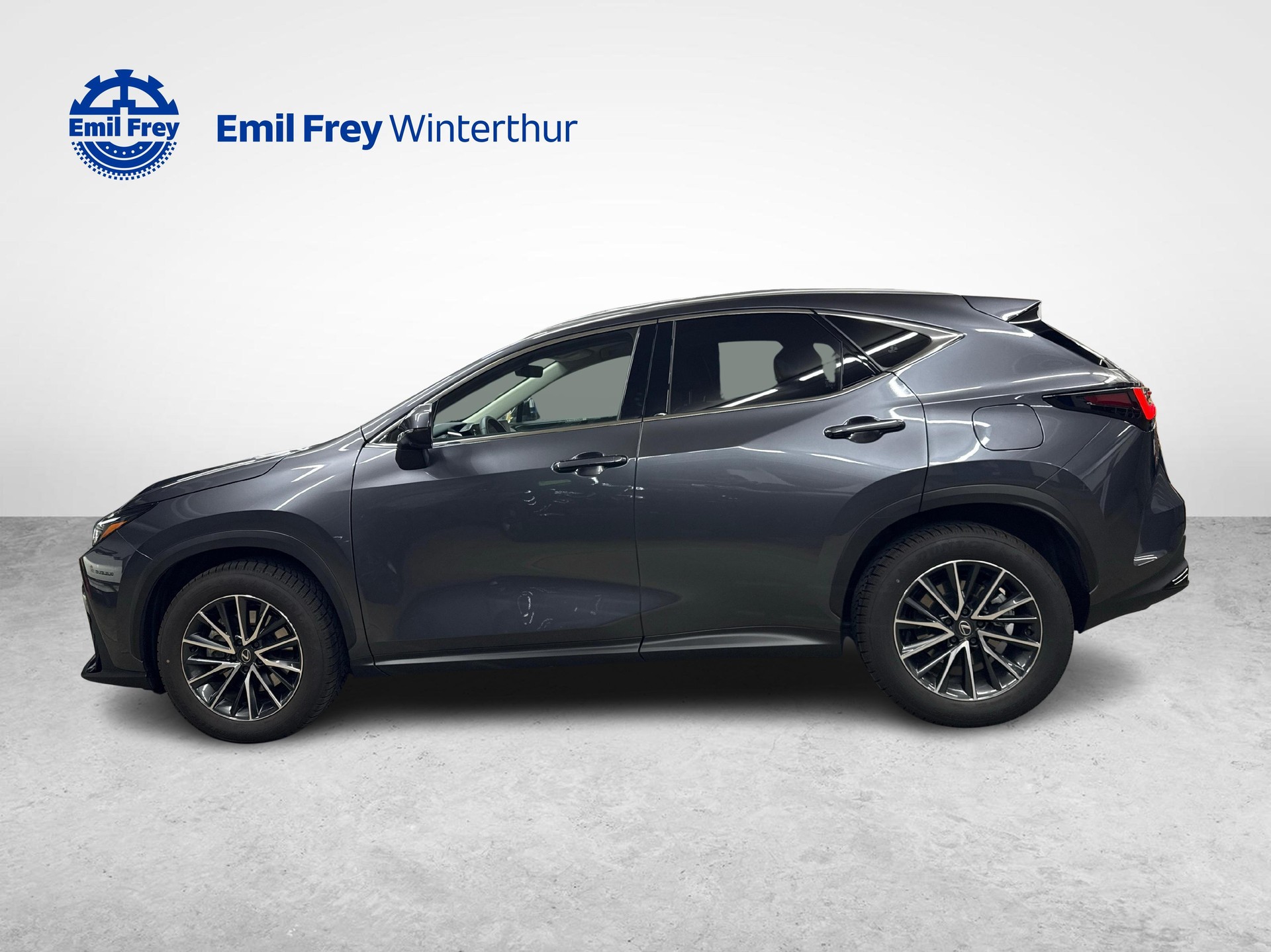 LEXUS NX 350h Comfort-showroom-element-1