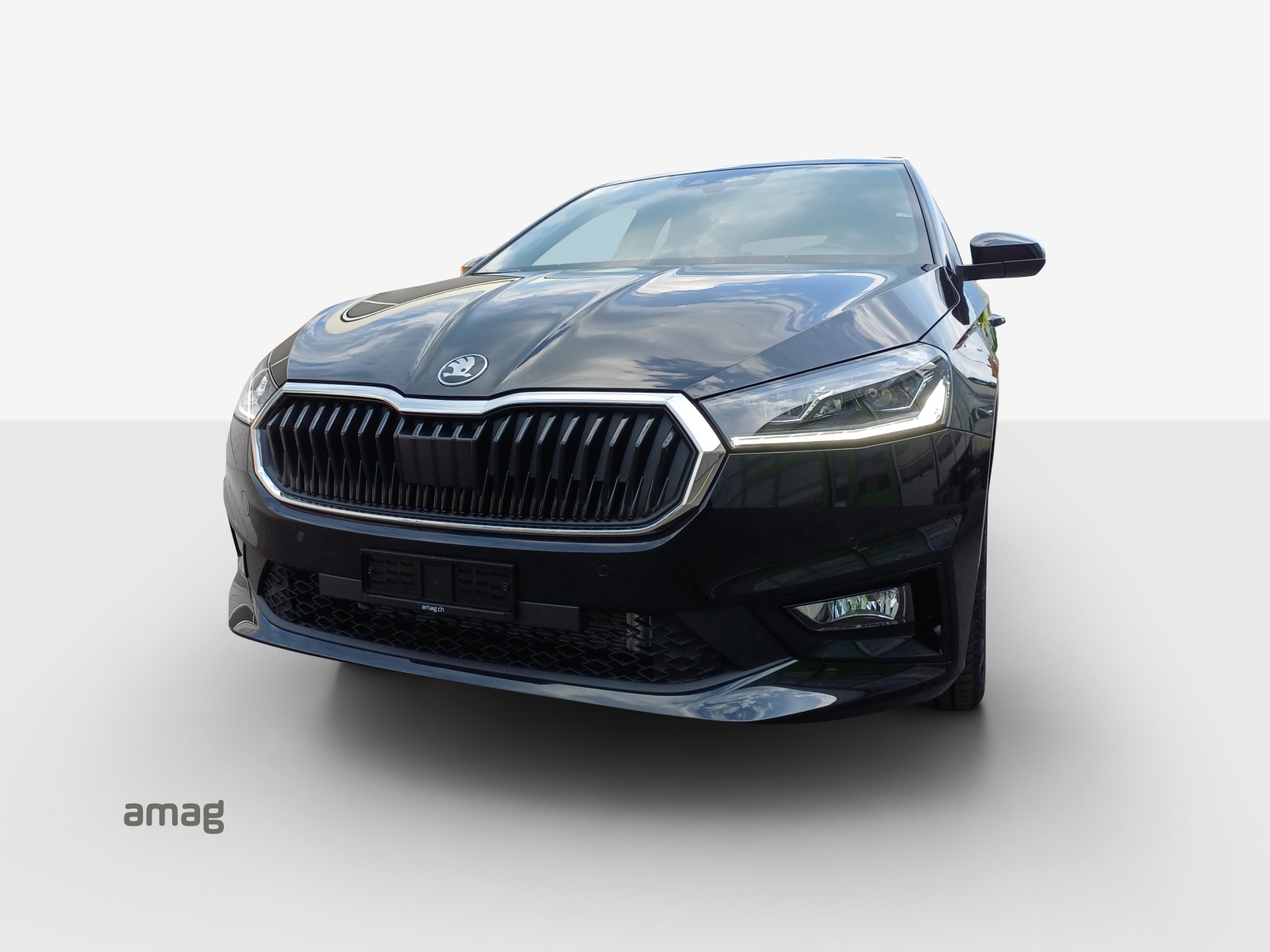SKODA Fabia 1.0 TSI Dynamic DSG-image-13