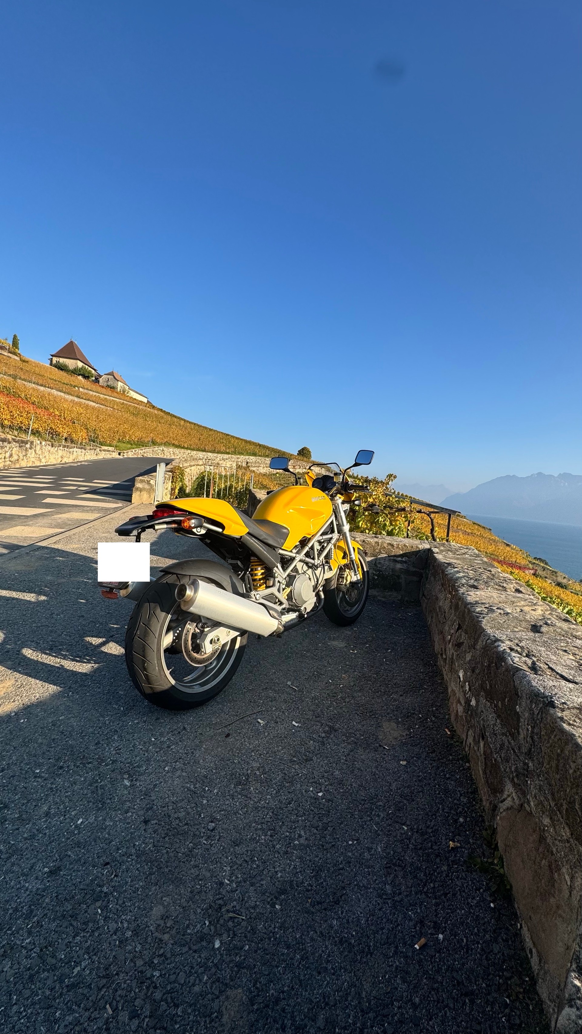DUCATI Monster 1000 S i.e.-image-7
