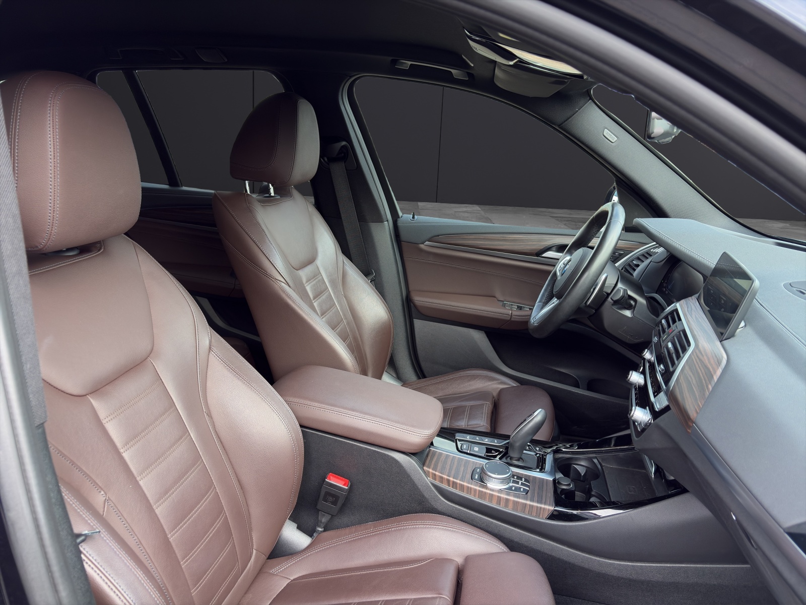 BMW X3 xDrive30e-image-9