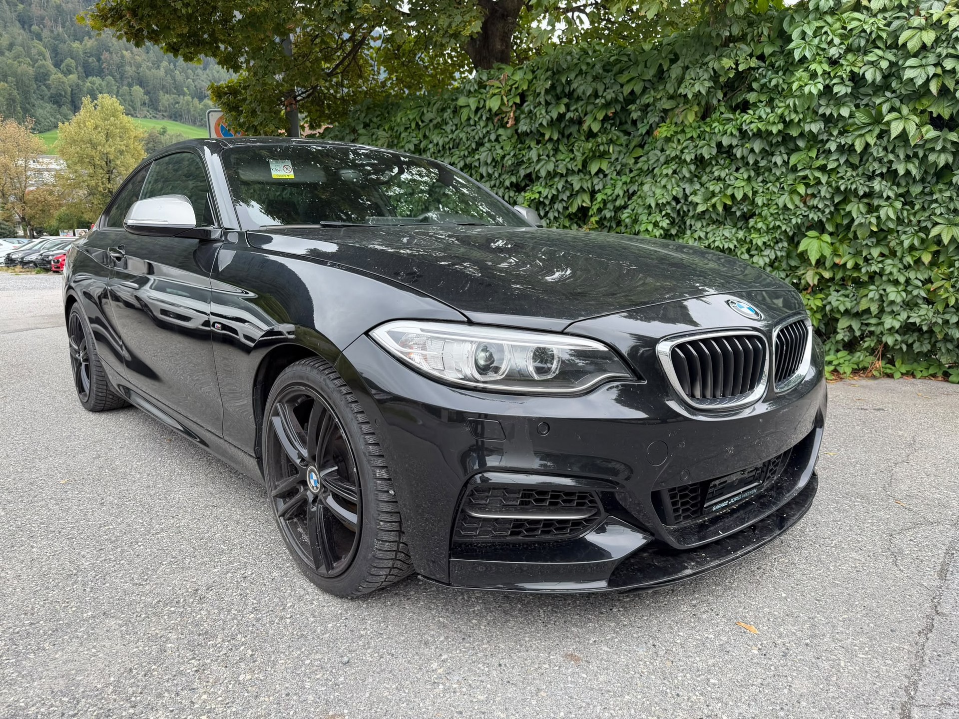 BMW M235i xDrive Steptronic-image-9