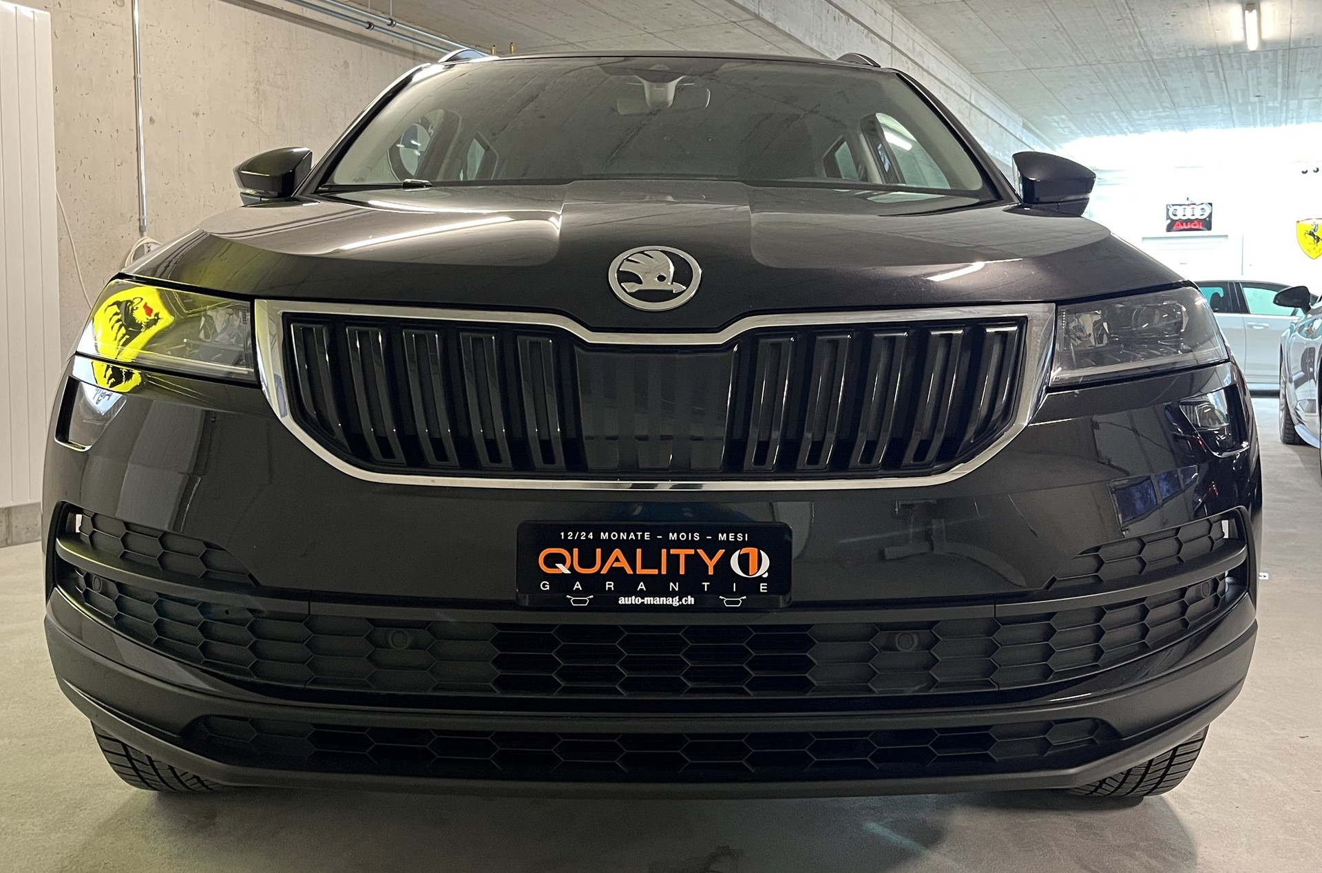 SKODA Karoq 1.0 TSI Ambition-image-2
