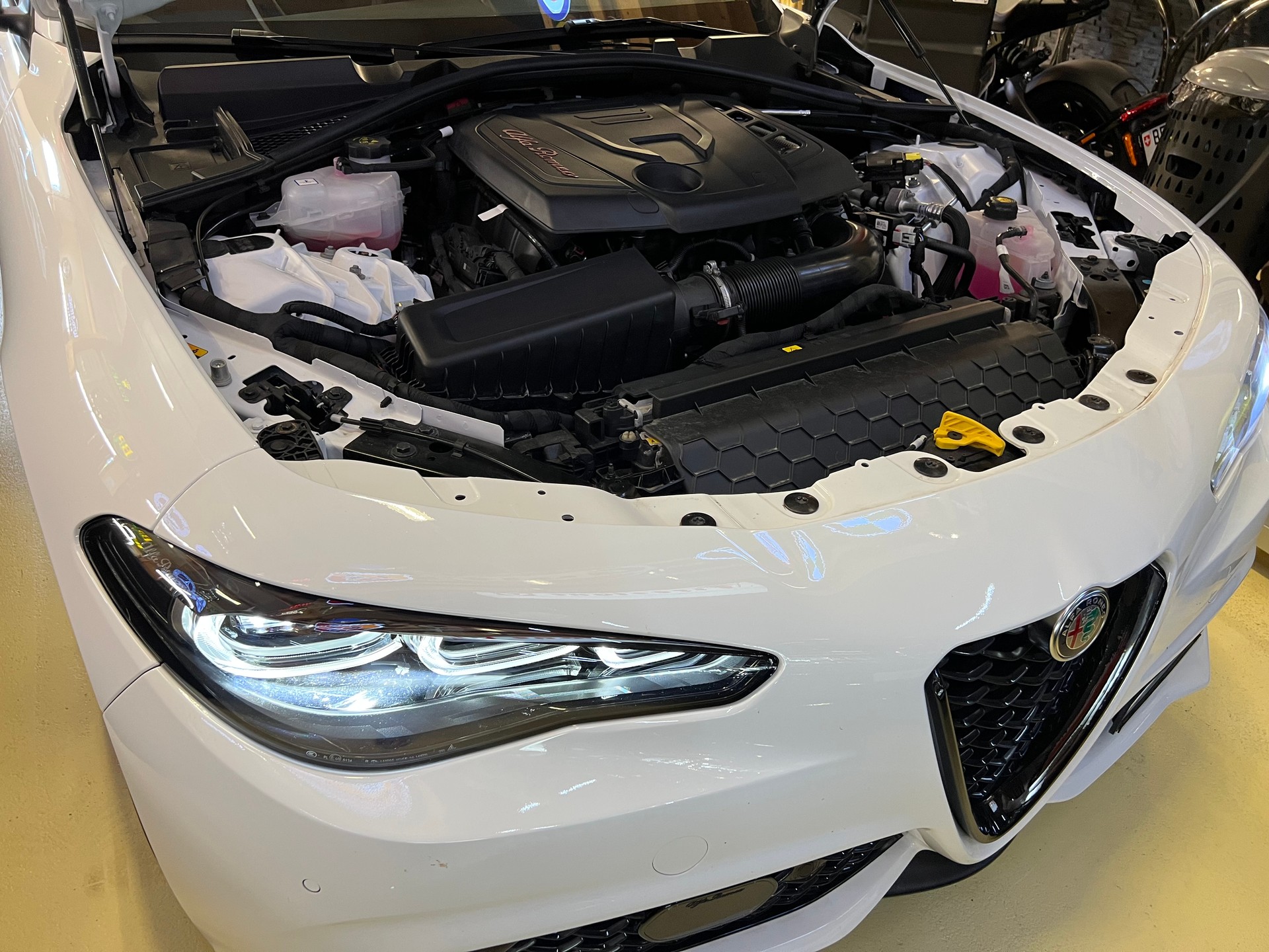 ALFA ROMEO Q4-GIULIA 2.0 Ti Edition Q4 "MIT 6`400 KM !!" CH WAGEN. TOP AUSSTATTUNG !! NETTO PREIS 42`900.--image-23