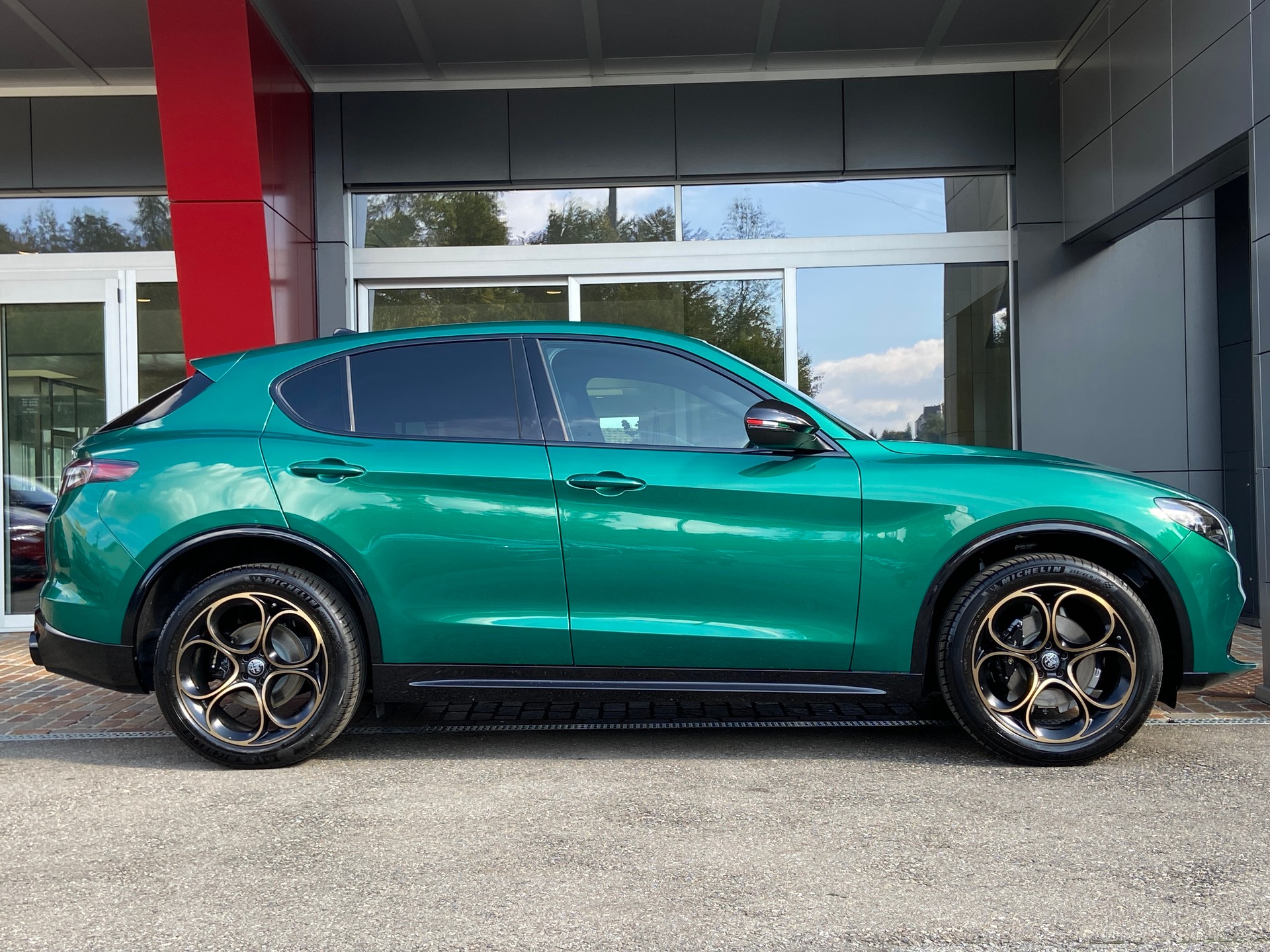 ALFA ROMEO Stelvio 2.0 Intensa Sky Q4 AT8-image-16