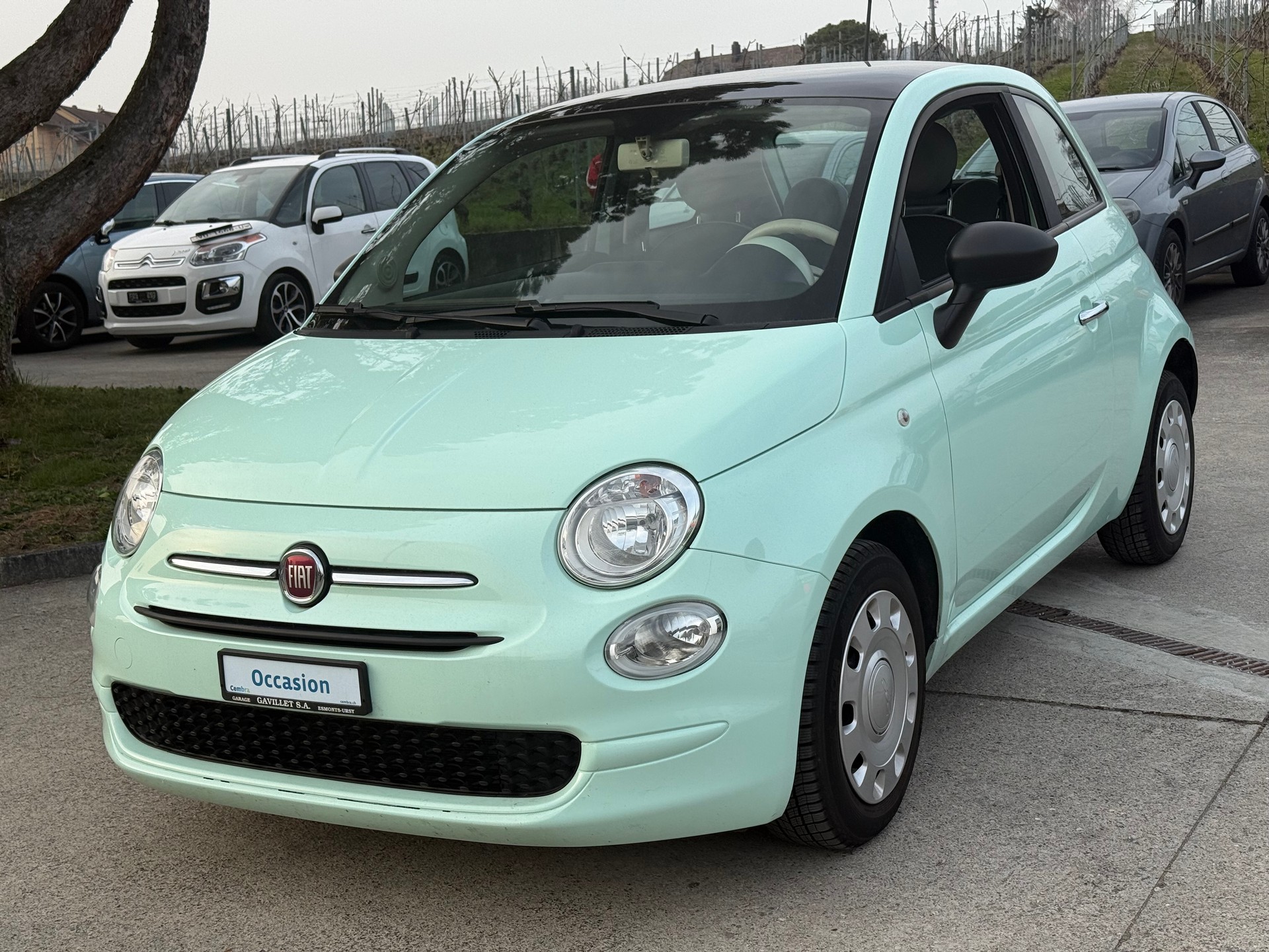 FIAT 500 1.2 Collezione-image-2