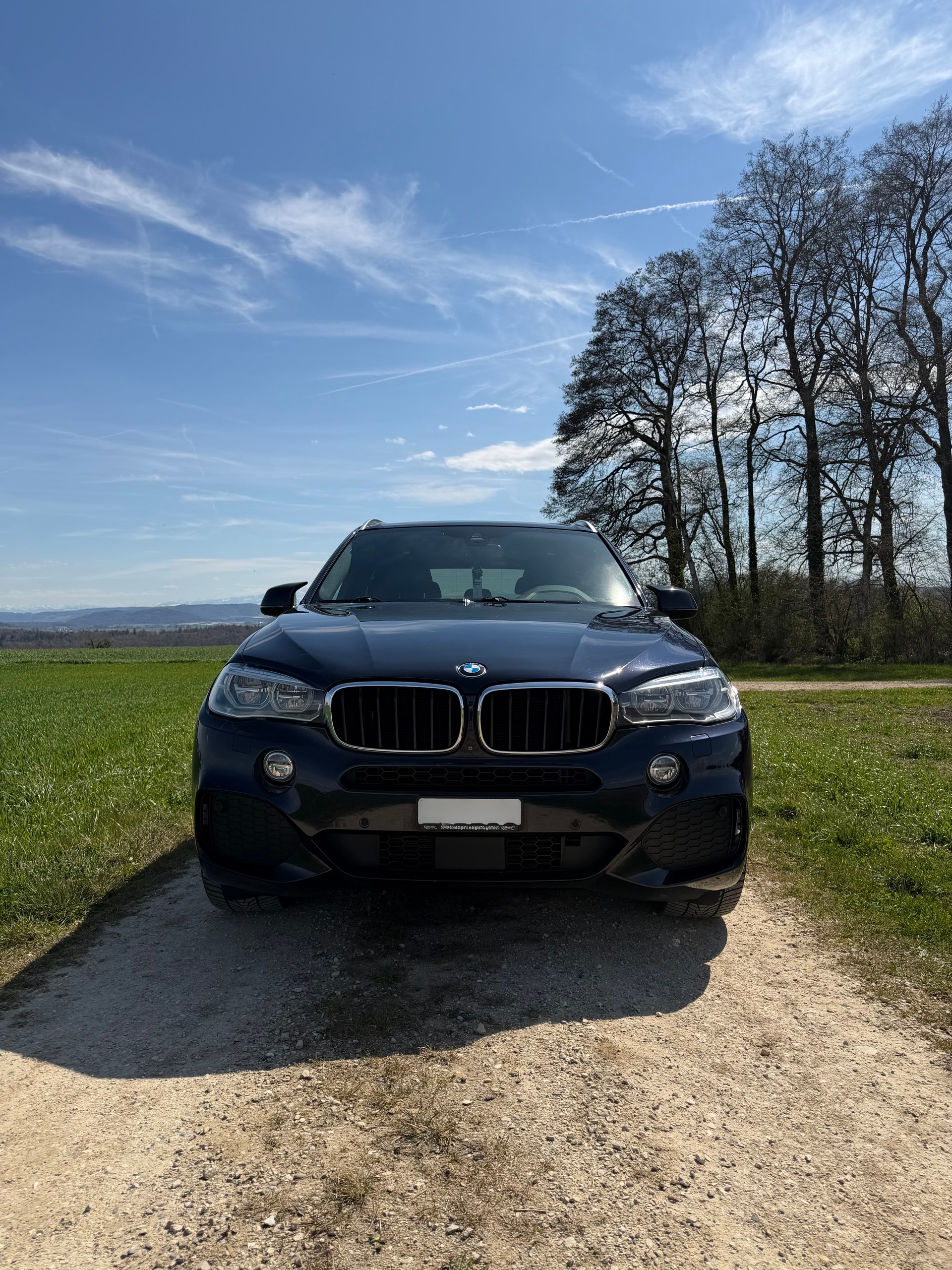 BMW X5 xDrive 30d Steptronic ab MFK-image-2