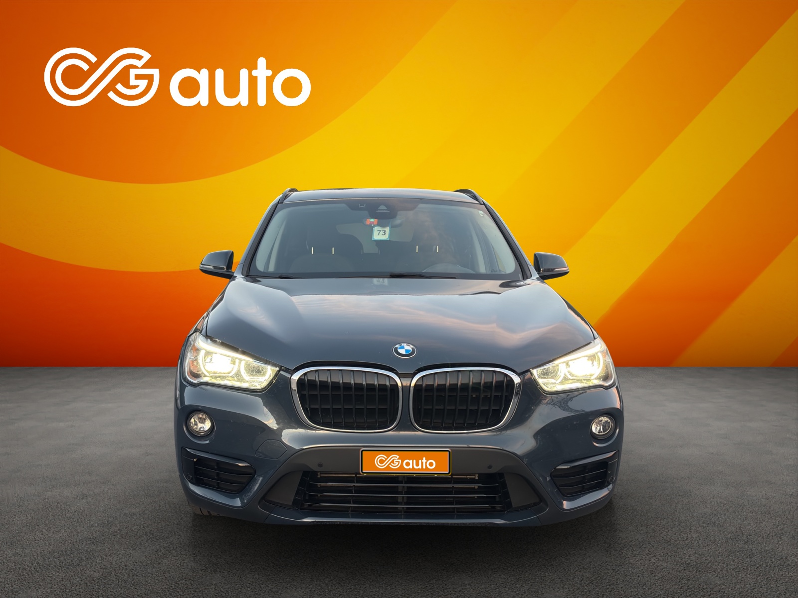 BMW X1 xDrive 18d Sport Line Steptronic-image-2