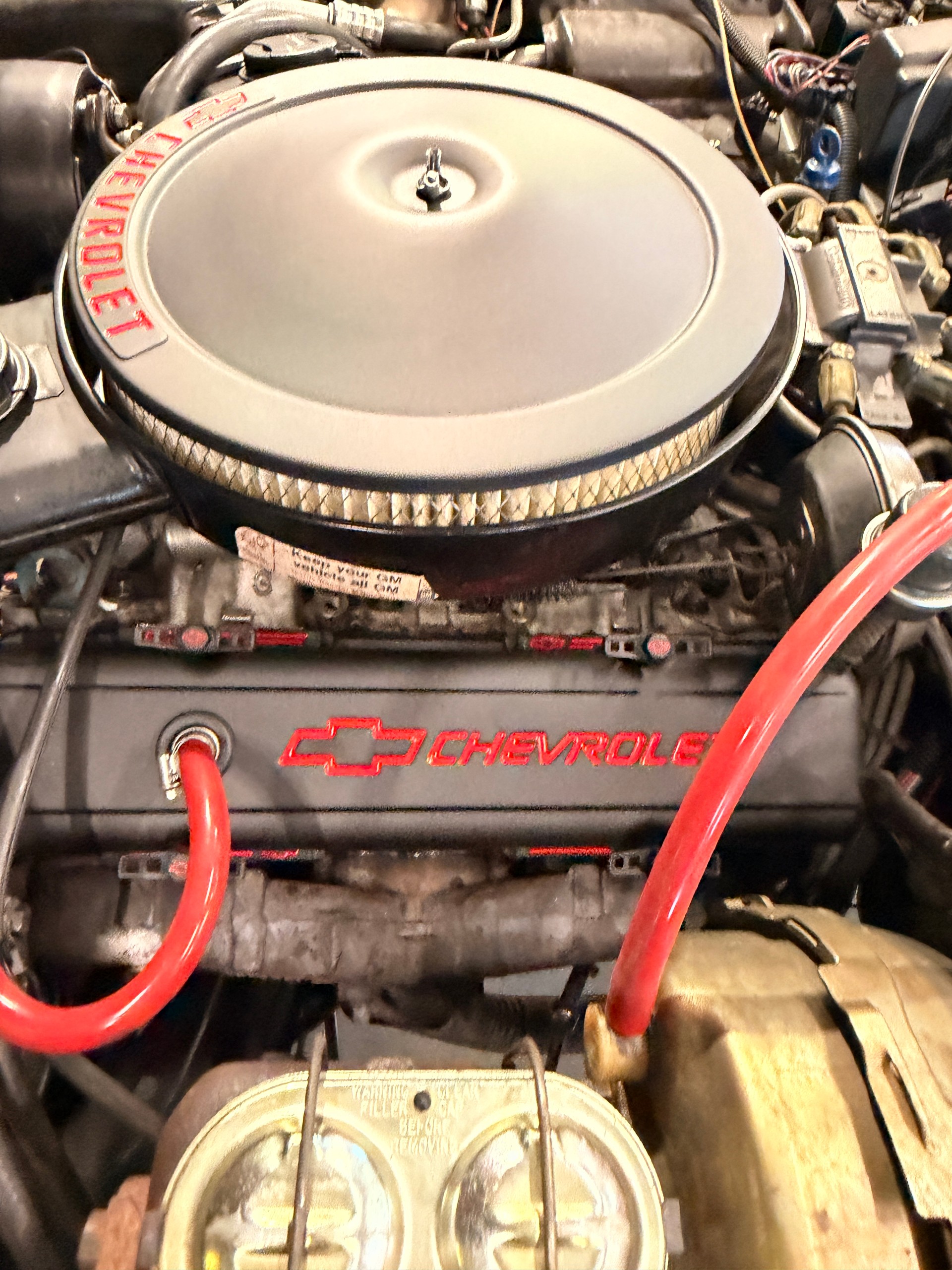 CHEVROLET C3 TARGA L-82 / 1978 / 5.7l / 25eme Anniversaire-image-4