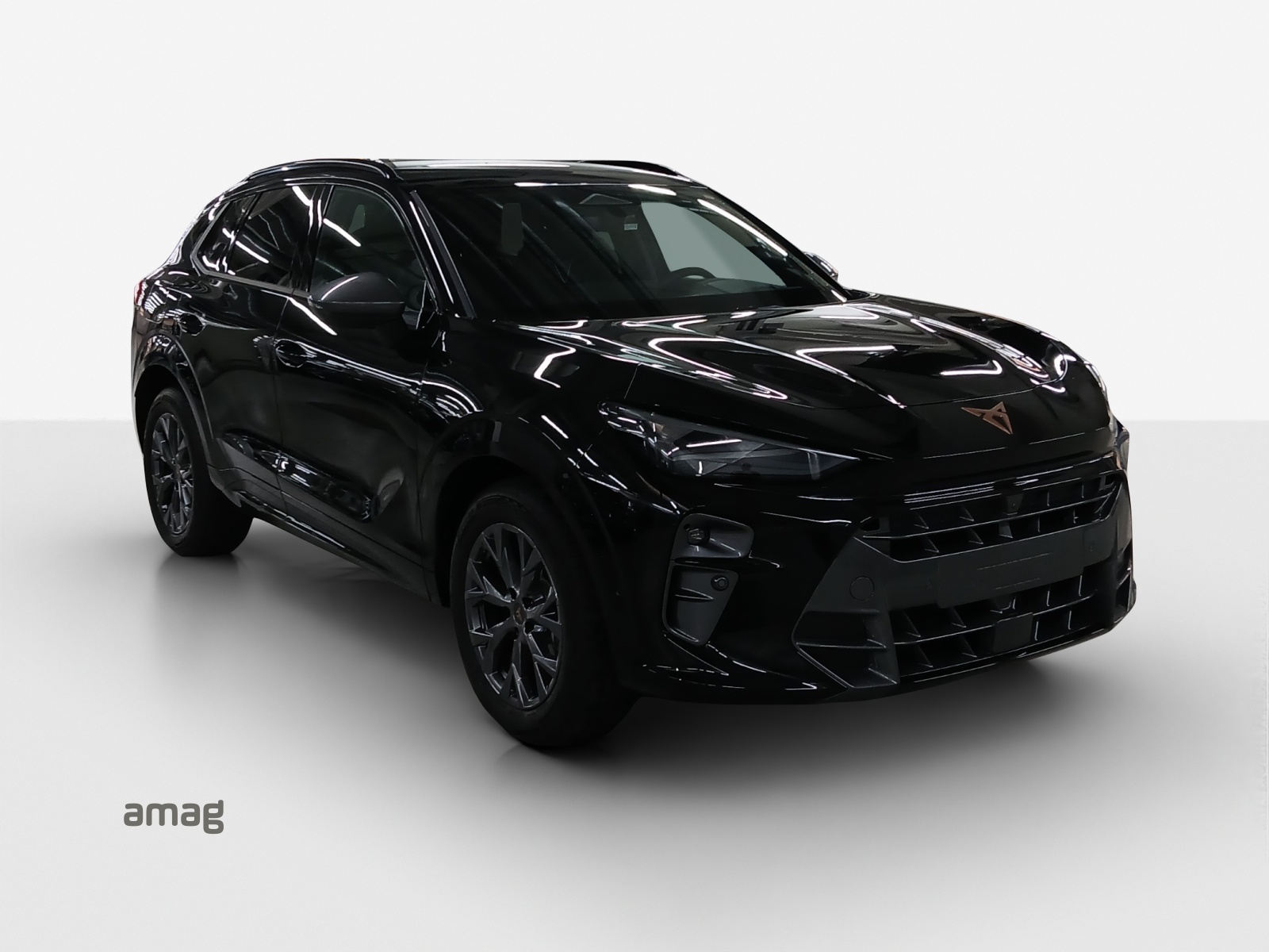 CUPRA Terramar 1.5 eTSI Prime Edition DSG-image-5
