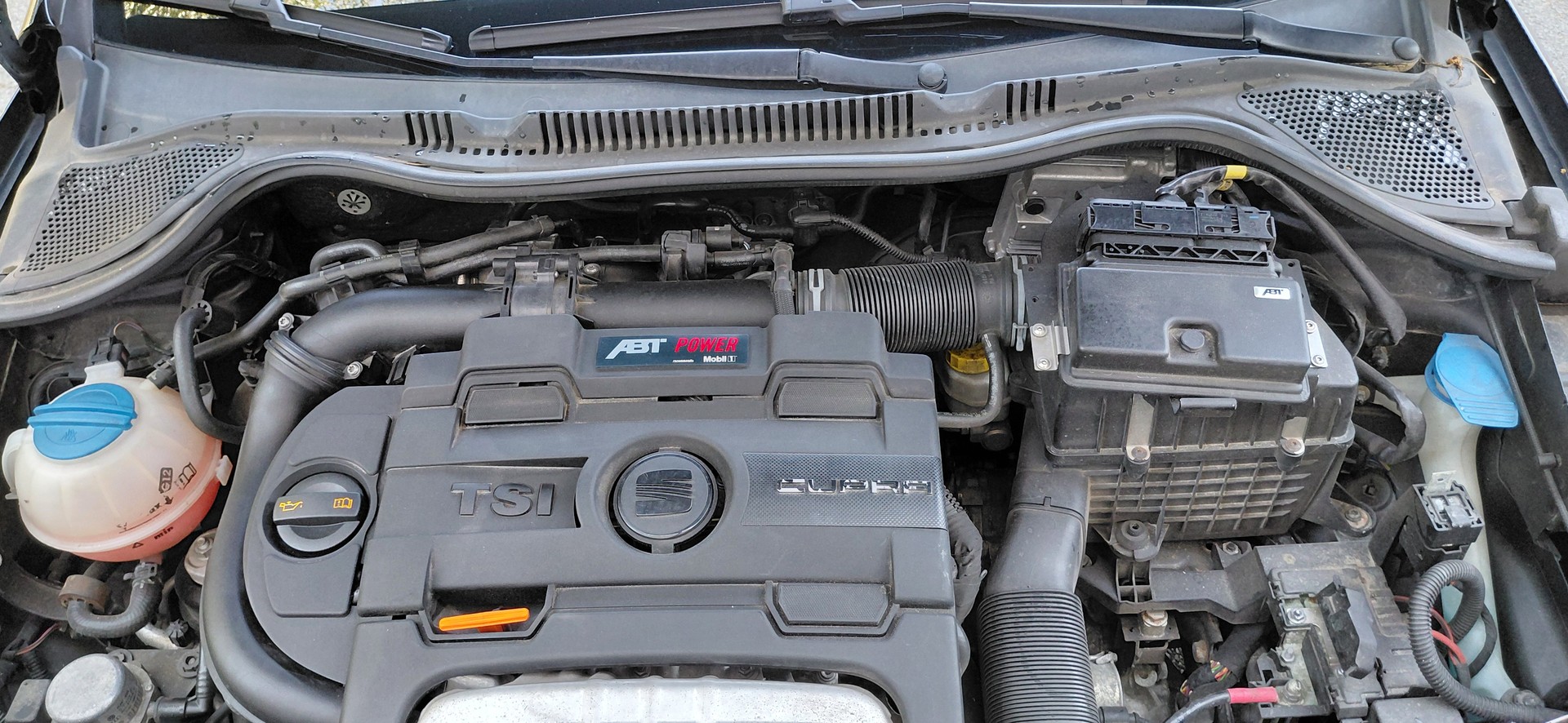 SEAT SEAT Ibiza Cupra-image-9